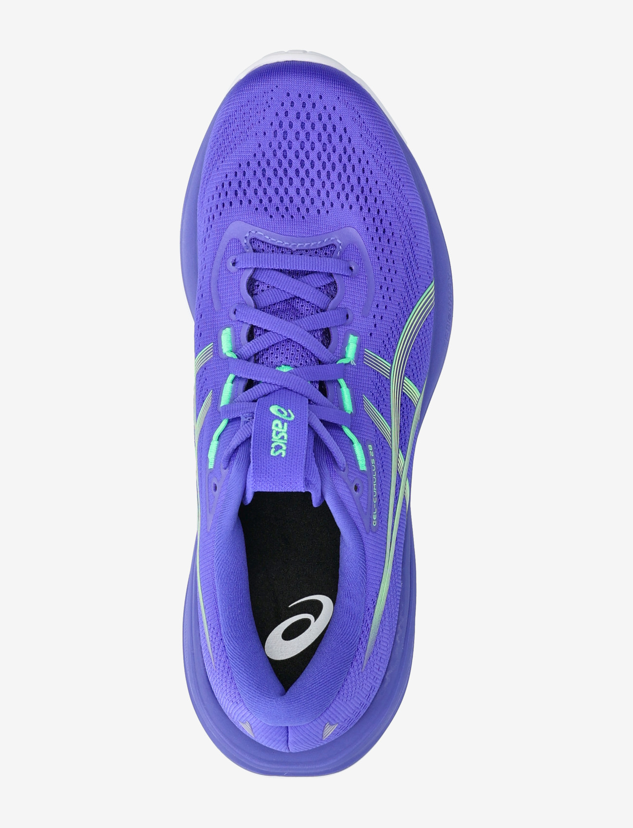 Asics - GEL-CUMULUS 28 - shoes - cobalt burst/illuminate green - 3