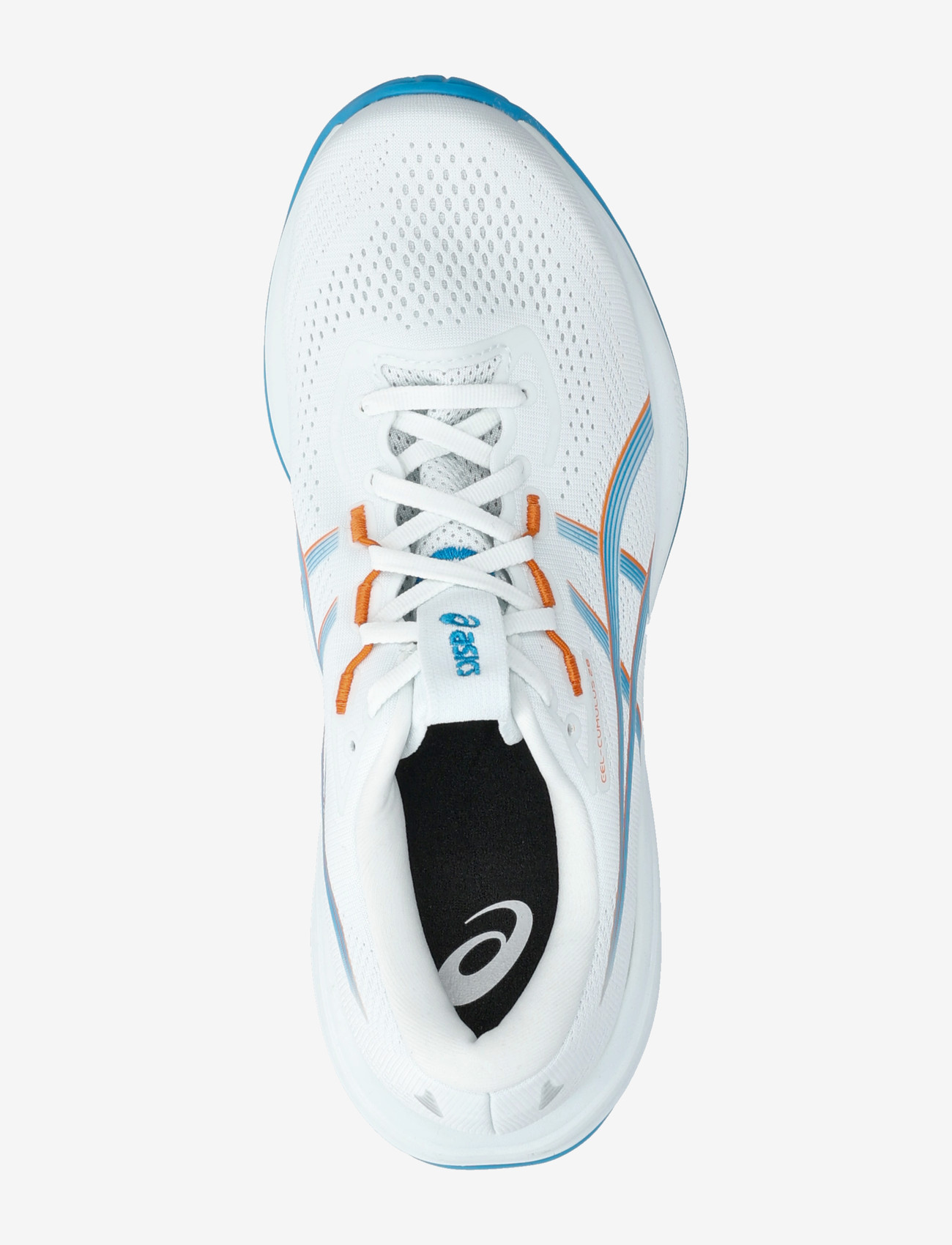 Asics - GEL-CUMULUS 28 - shoes - arctic blue/aegean blue - 3