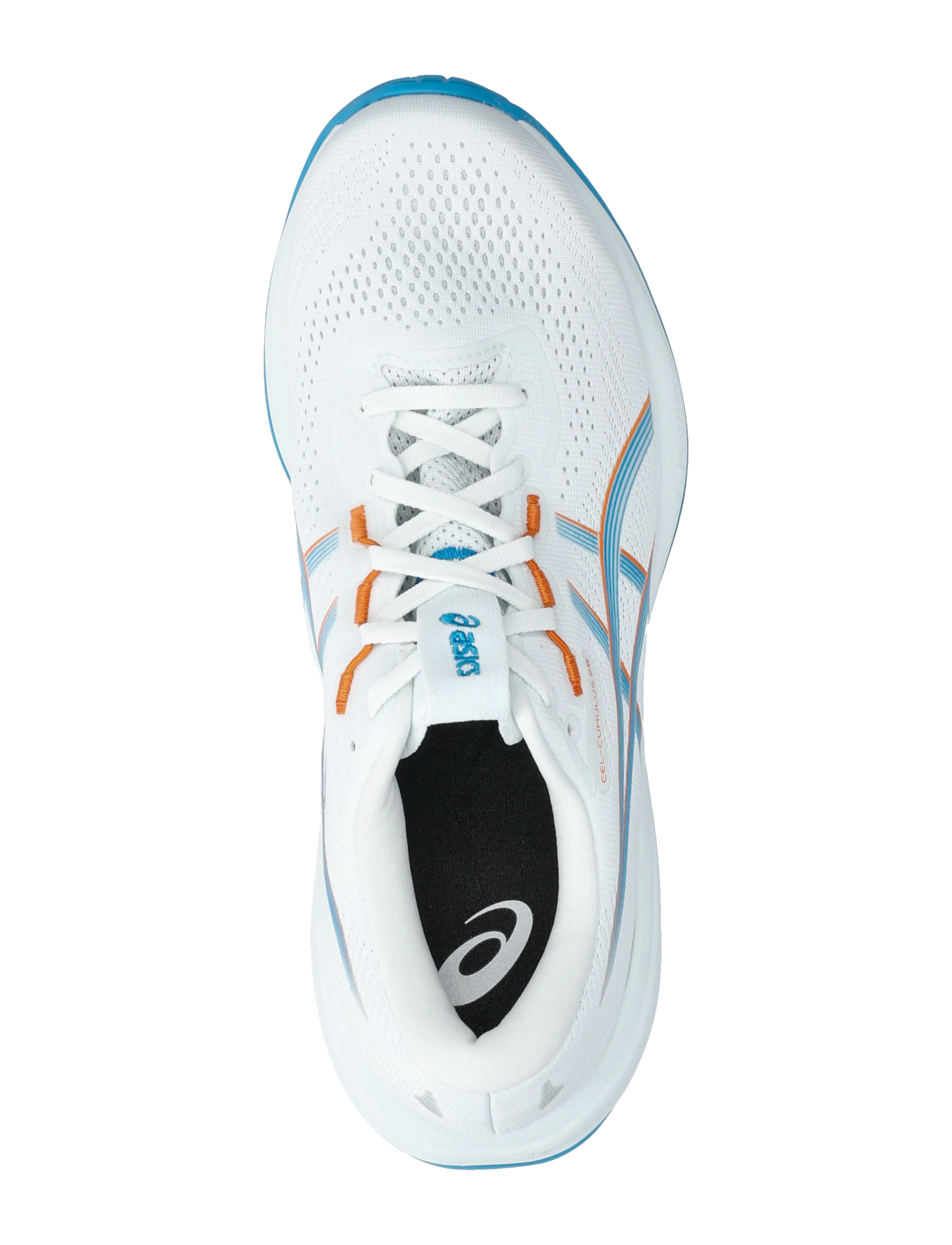Asics - GEL-CUMULUS 28 - running shoes - arctic blue/aegean blue - 3