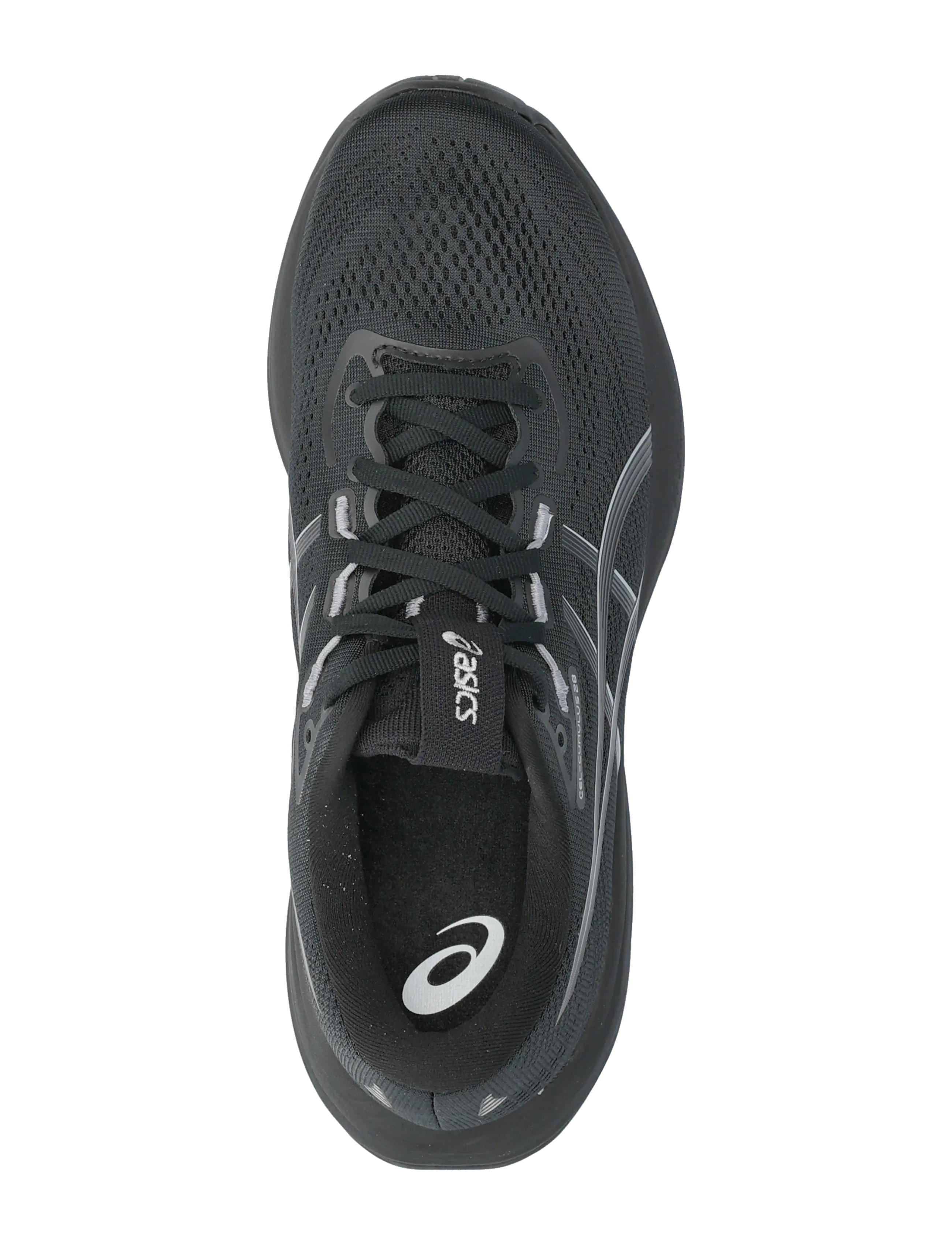 Asics - GEL-CUMULUS 28 - shoes - black/carrier grey - 3