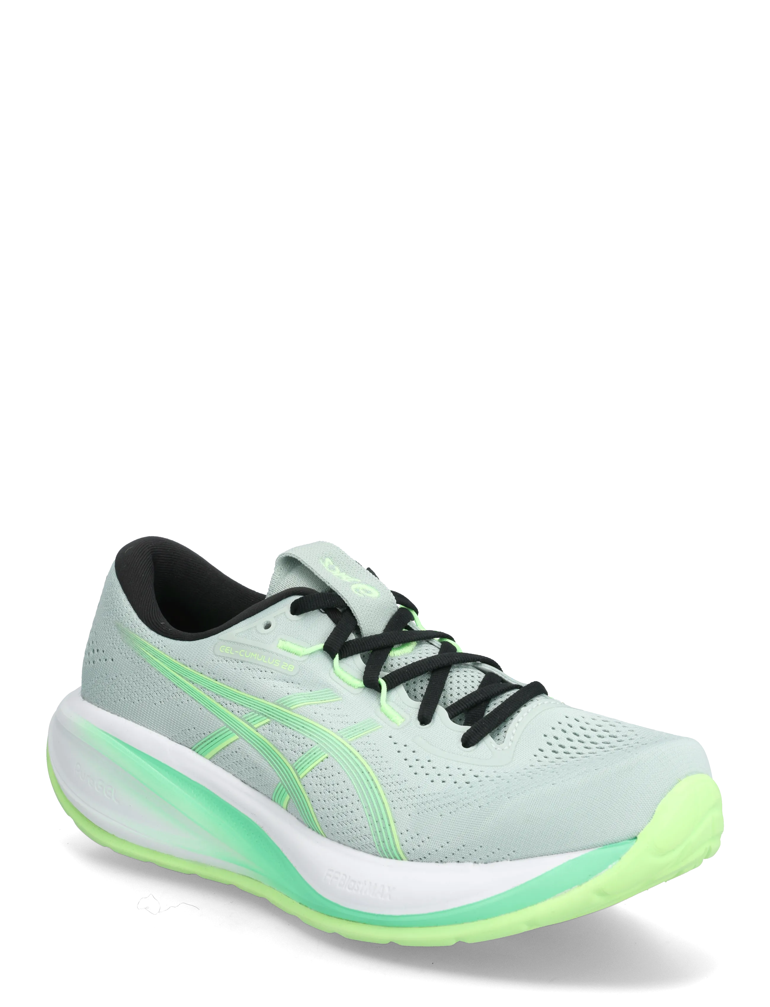 Asics GEL-CUMULUS 28 - ASICS - COLD MOSS/VITAL GREEN / green