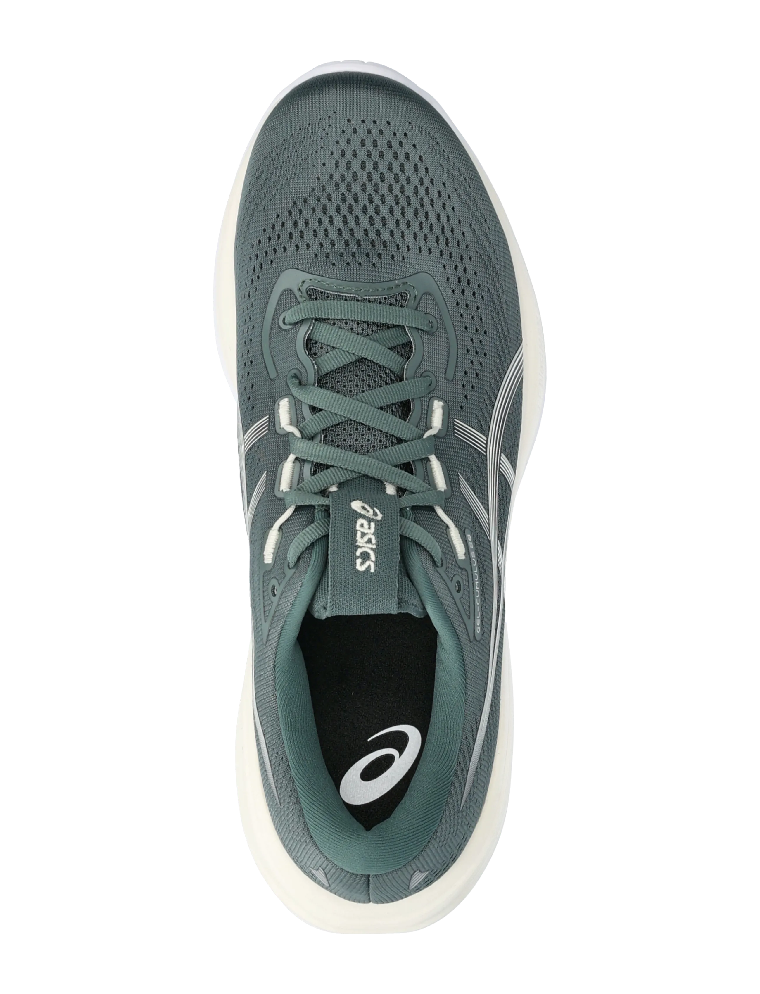 Asics - GEL-CUMULUS 28 - shoes - dusty fern/ivory - 3