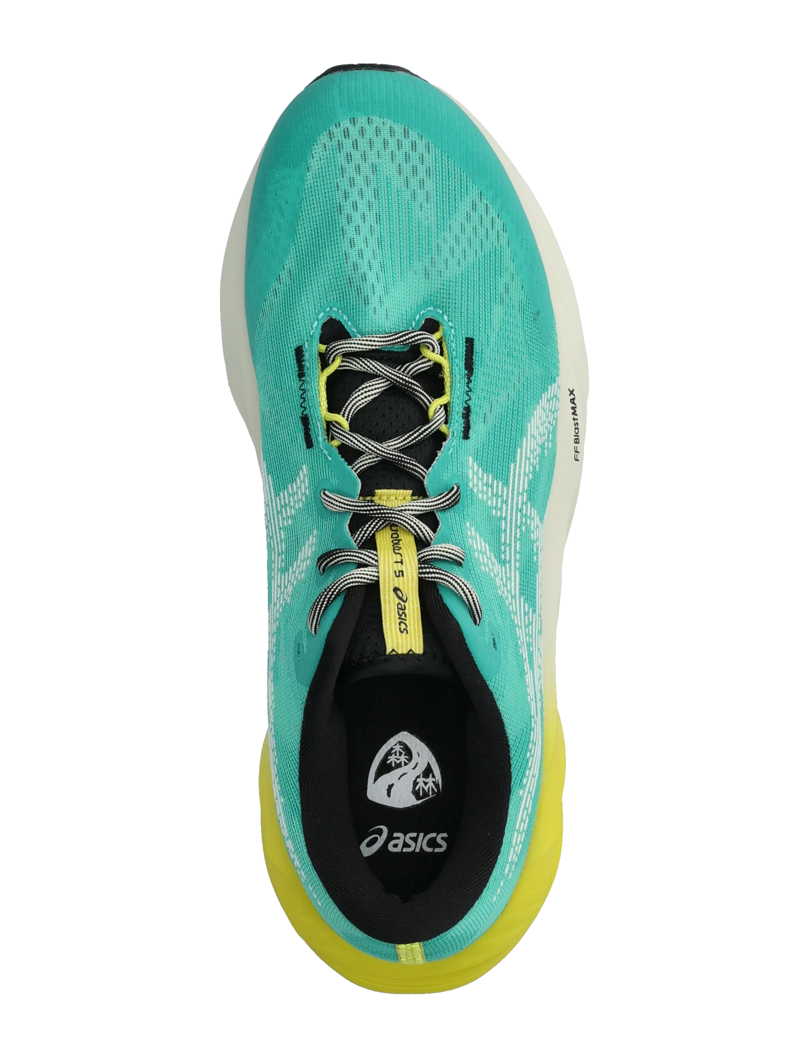 Asics - NOVABLAST 5 TR - shoes - aurora green/light dust - 3