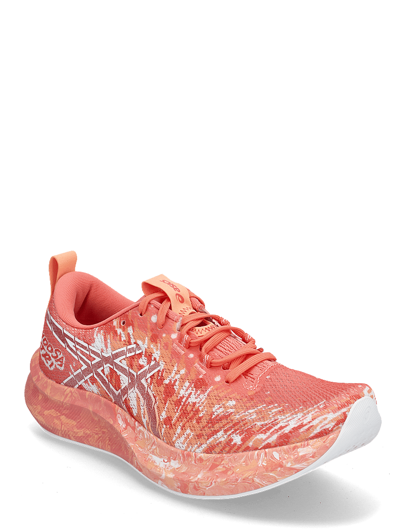 Asics Noosa Tri 16 (ASI1012B675) Running Shoes - Main Image