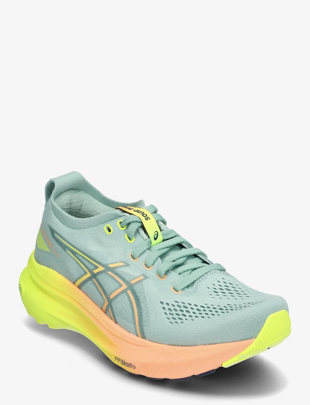 Asic gel kayano 21 womens sales