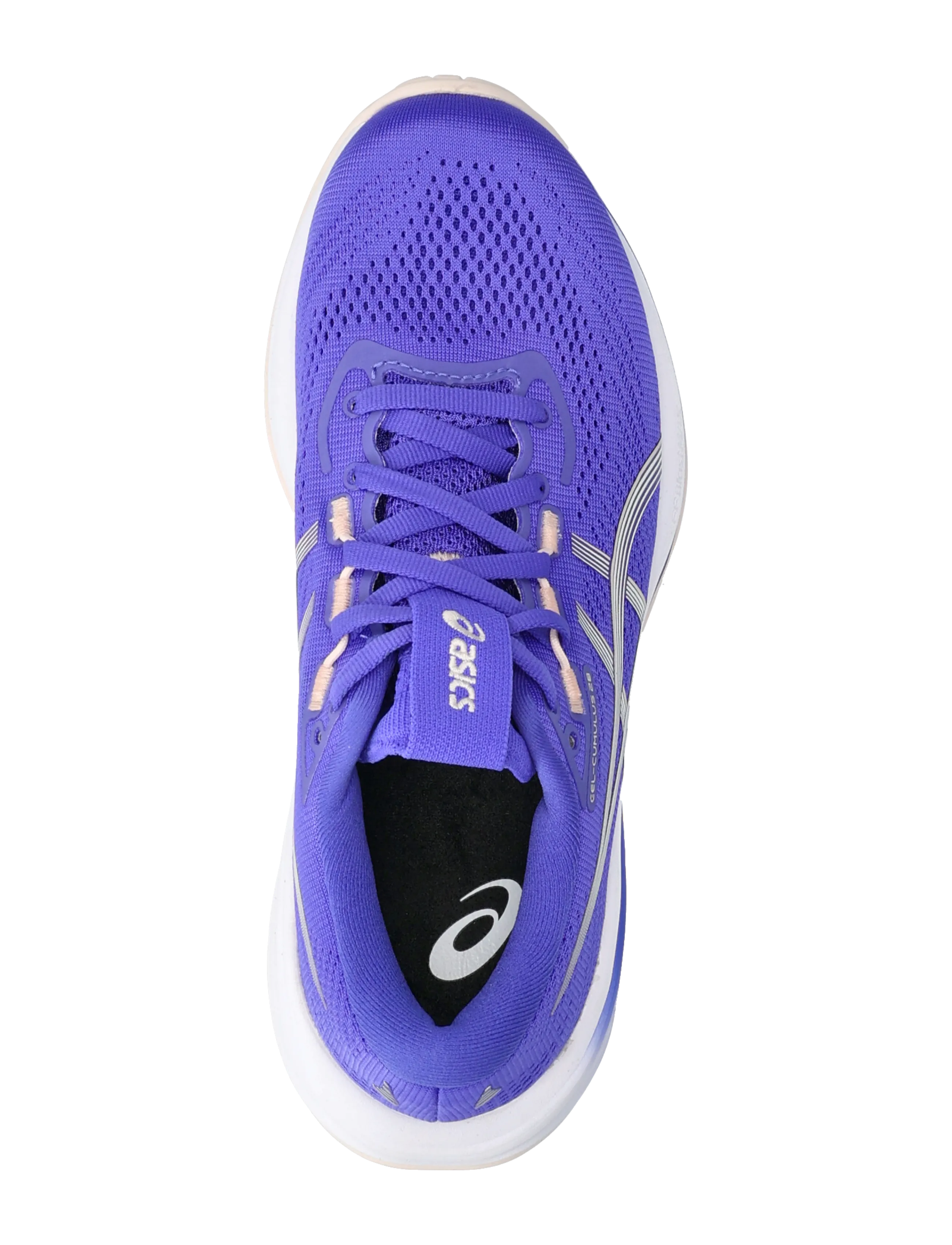 Asics - GEL-CUMULUS 28 - shoes - cobalt burst/ivory - 3