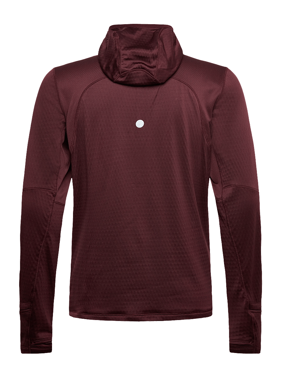 Asics - ROAD WINTER LS HOODIE - huvtröjor - dark currant - 1