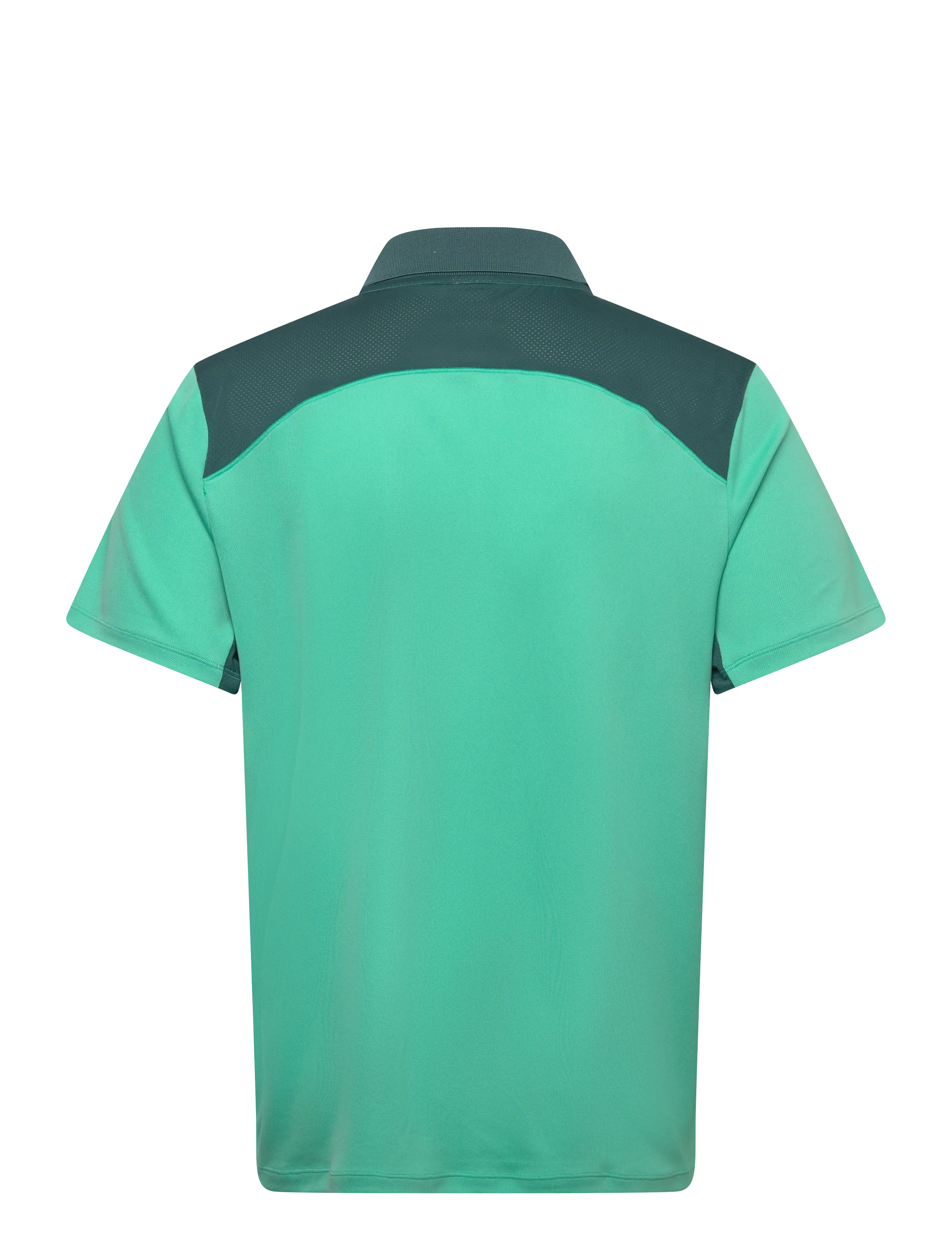 Court Polo 2