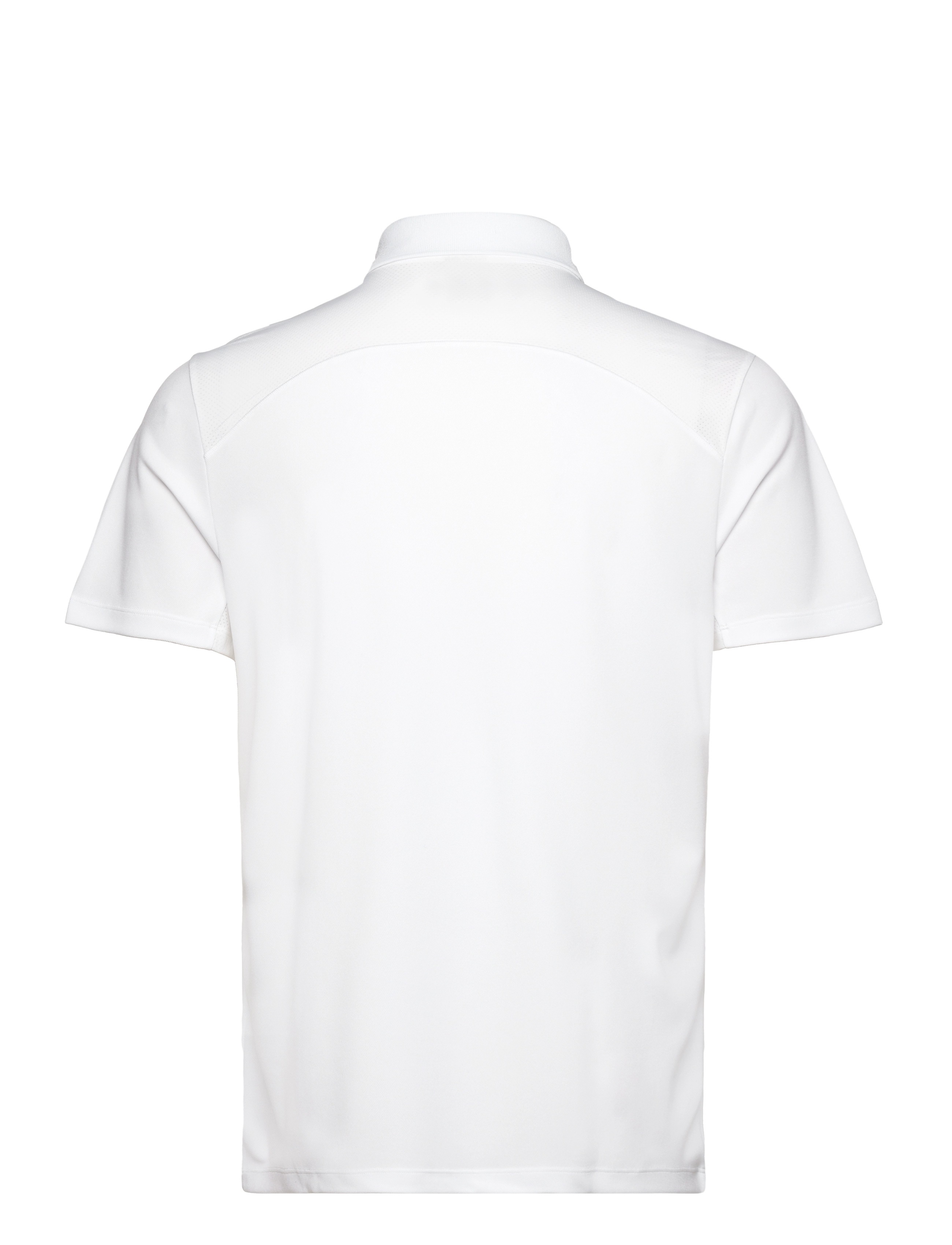 Court Polo 2