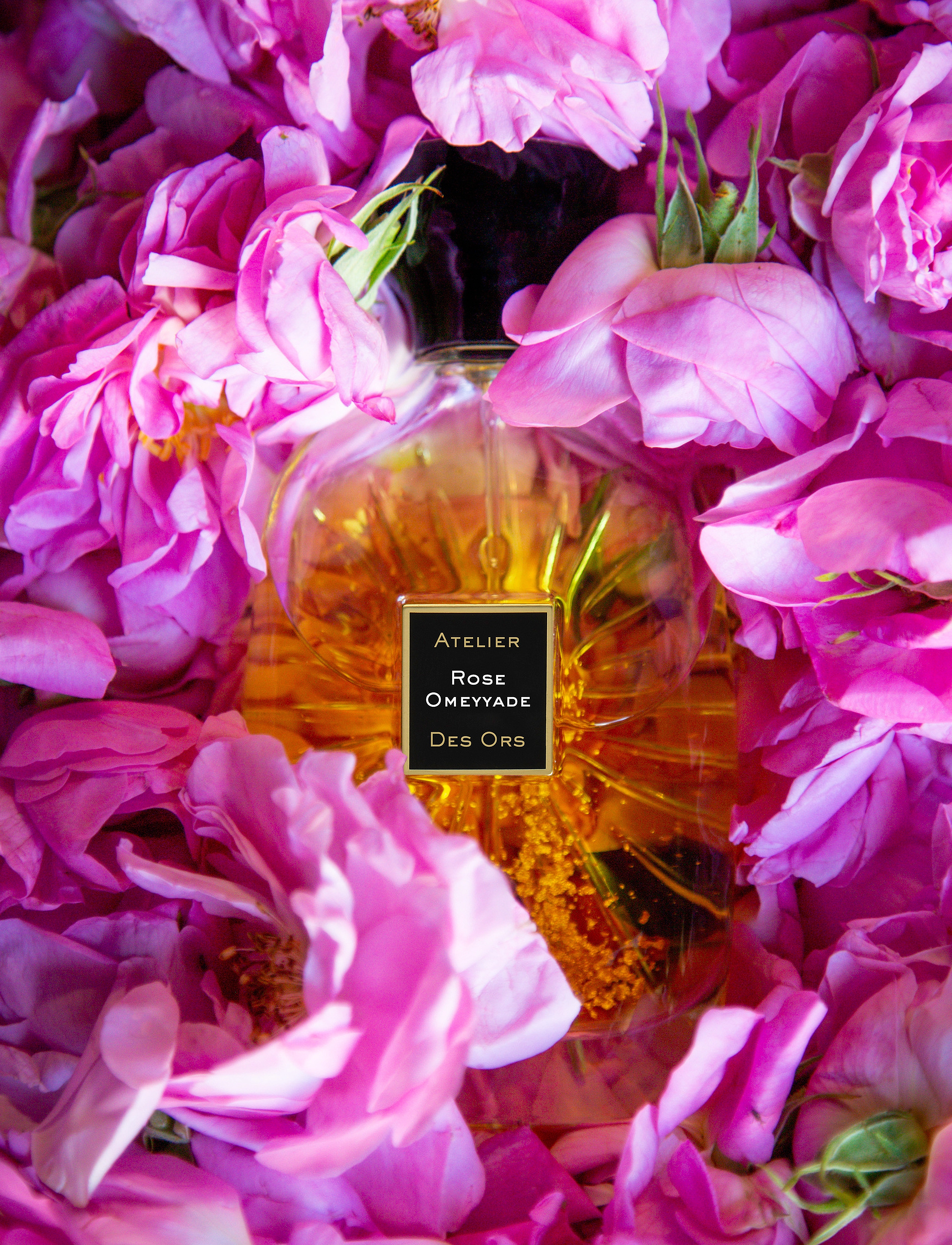 Atelier des Ors - ROSE OMEYYADE - EDP 100ML - jam  - clear - 5