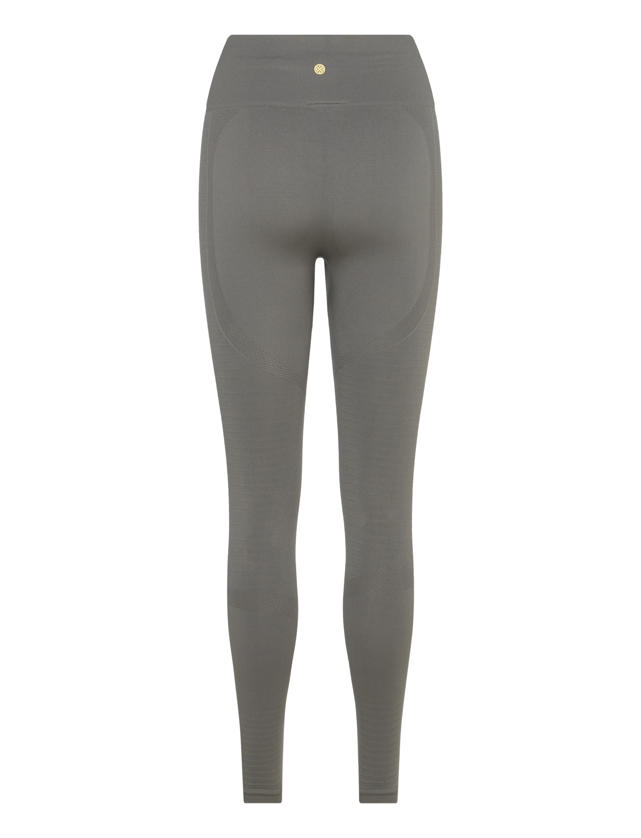 Athlecia - Nagar W Seamless Tights - täispikkus - gunmetal - 2