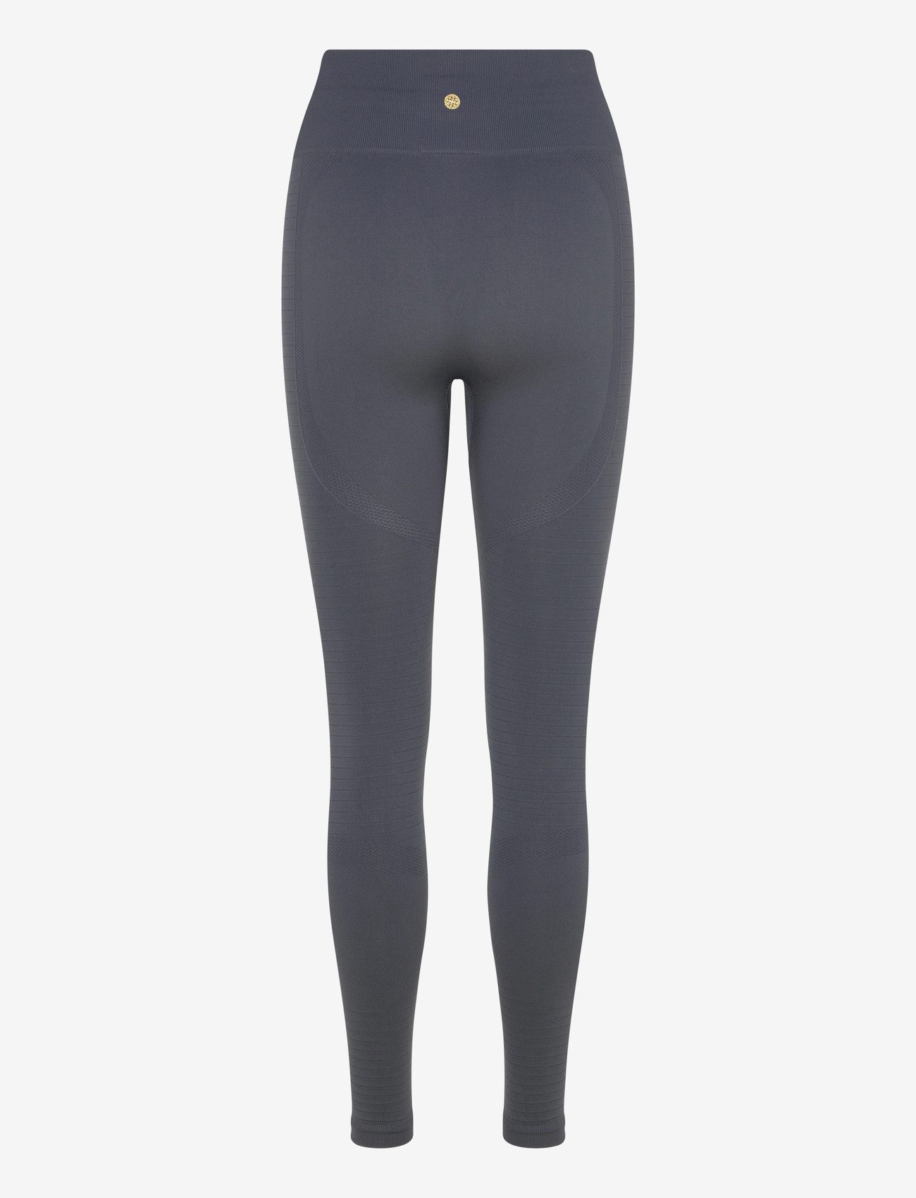 Athlecia - Nagar W Seamless Tights - täispikkus - ombre blue - 2