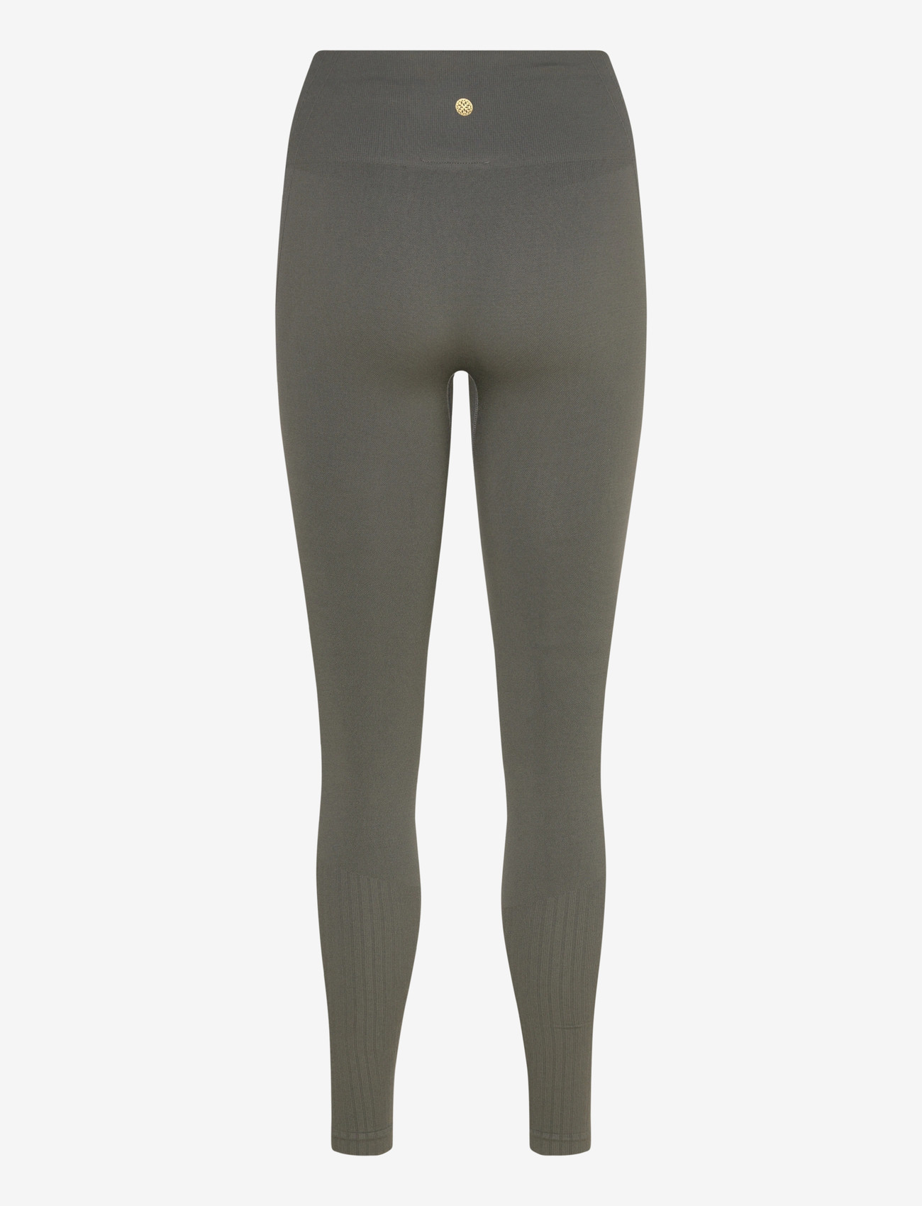 Athlecia - Nagar V2 W Seamless Tights - treenitrikoot - chimera - 2