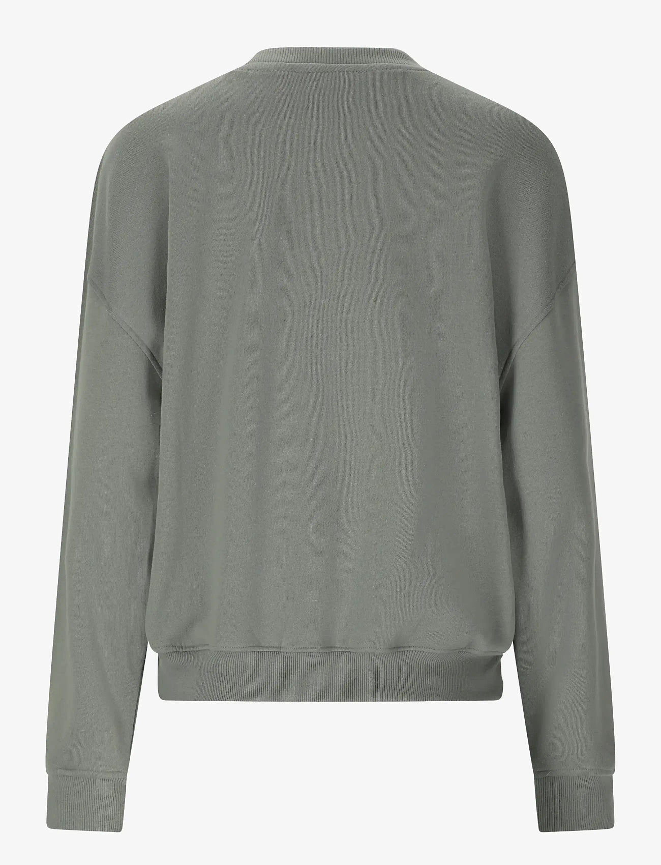 Athlecia - Atkins W Crew Neck - overdele - sedona sage - 1