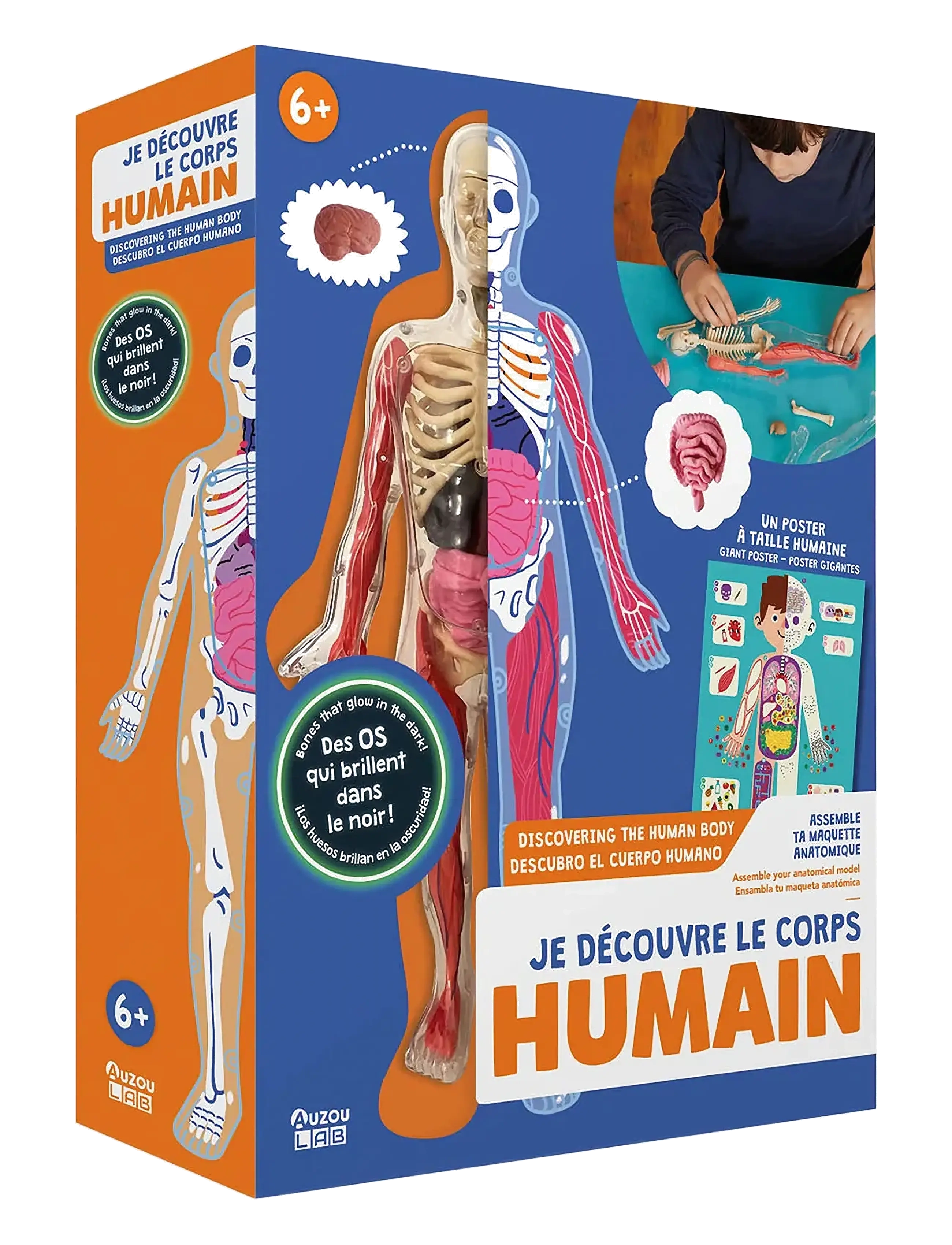 Auzou Activity Box Discovering The Human Body, One Size, Games, Mehrfarbig/gemustert - Educational Kinder