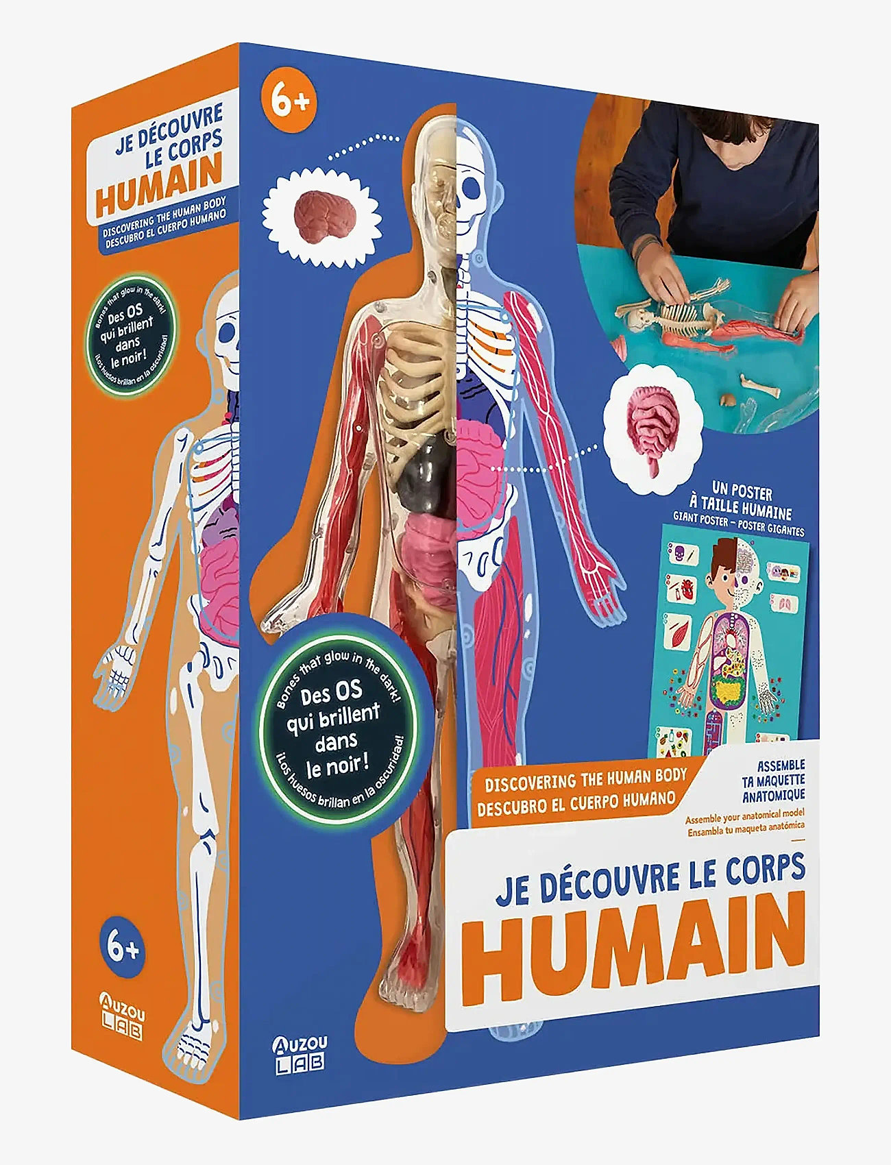 Auzou - Activity Box - Discovering the Human Body - Õpetlikud mängud - multi - 0