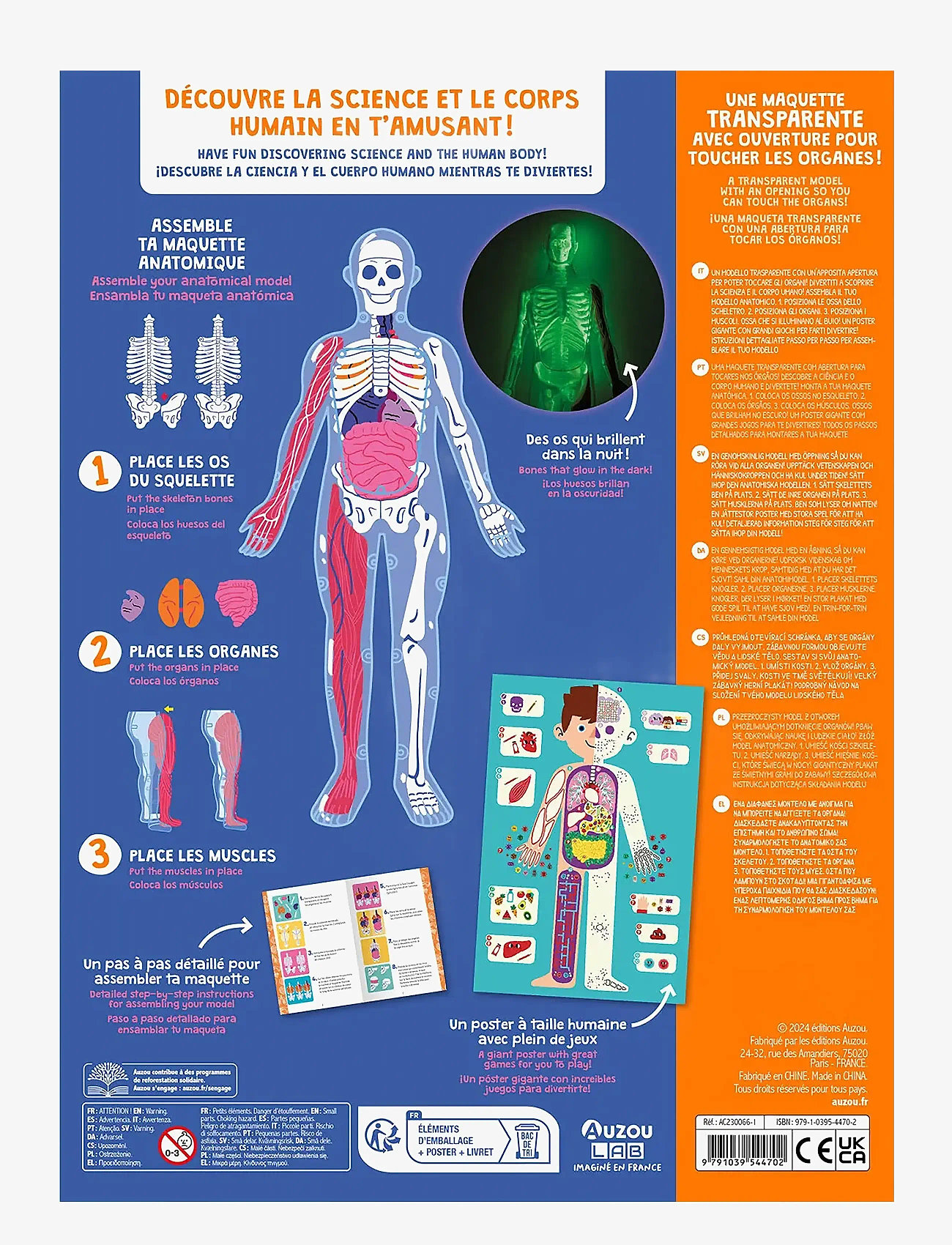 Auzou - Activity Box - Discovering the Human Body - Õpetlikud mängud - multi - 1