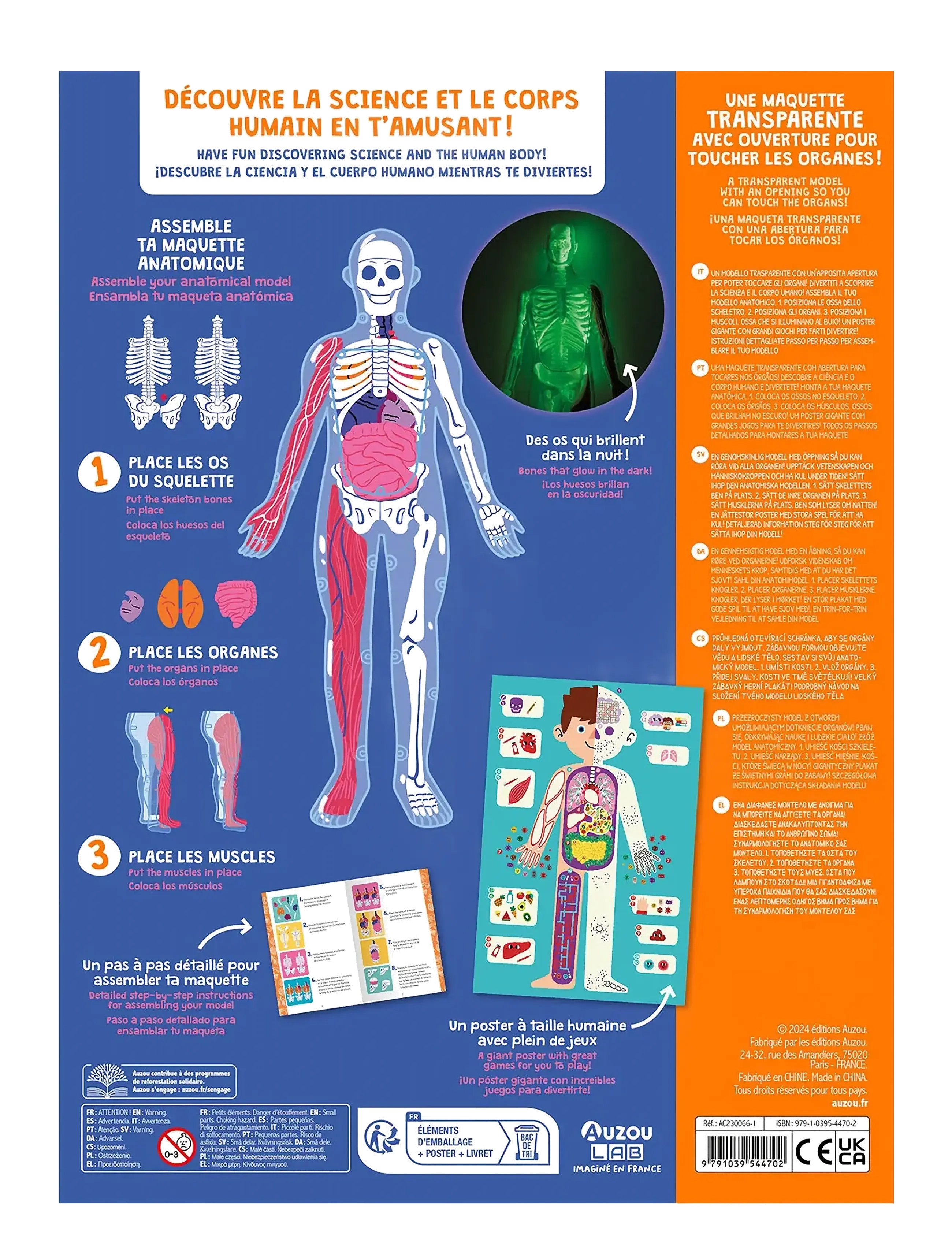Auzou - Activity Box - Discovering the Human Body - Õpetlikud mängud - multi - 1