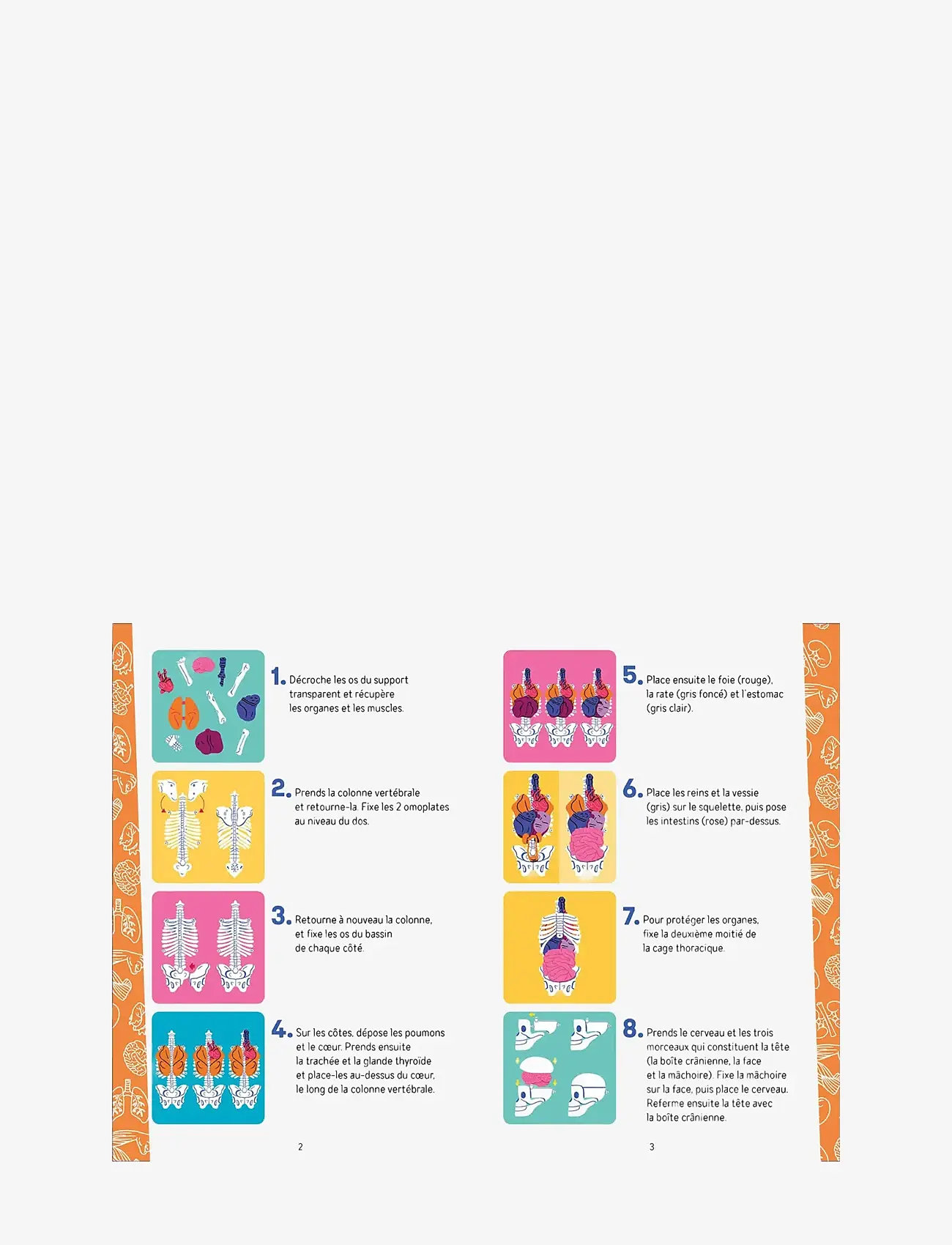 Auzou - Activity Box - Discovering the Human Body - Õpetlikud mängud - multi - 3