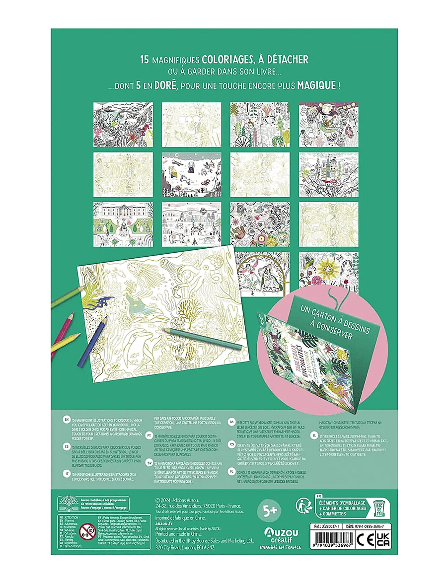 Auzou - Colouring Book - Enchanted Paintings - mal- & bastelbücher - multi - 2
