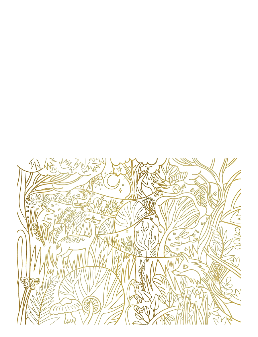 Auzou - Colouring Book - Enchanted Paintings - mal- & bastelbücher - multi - 4