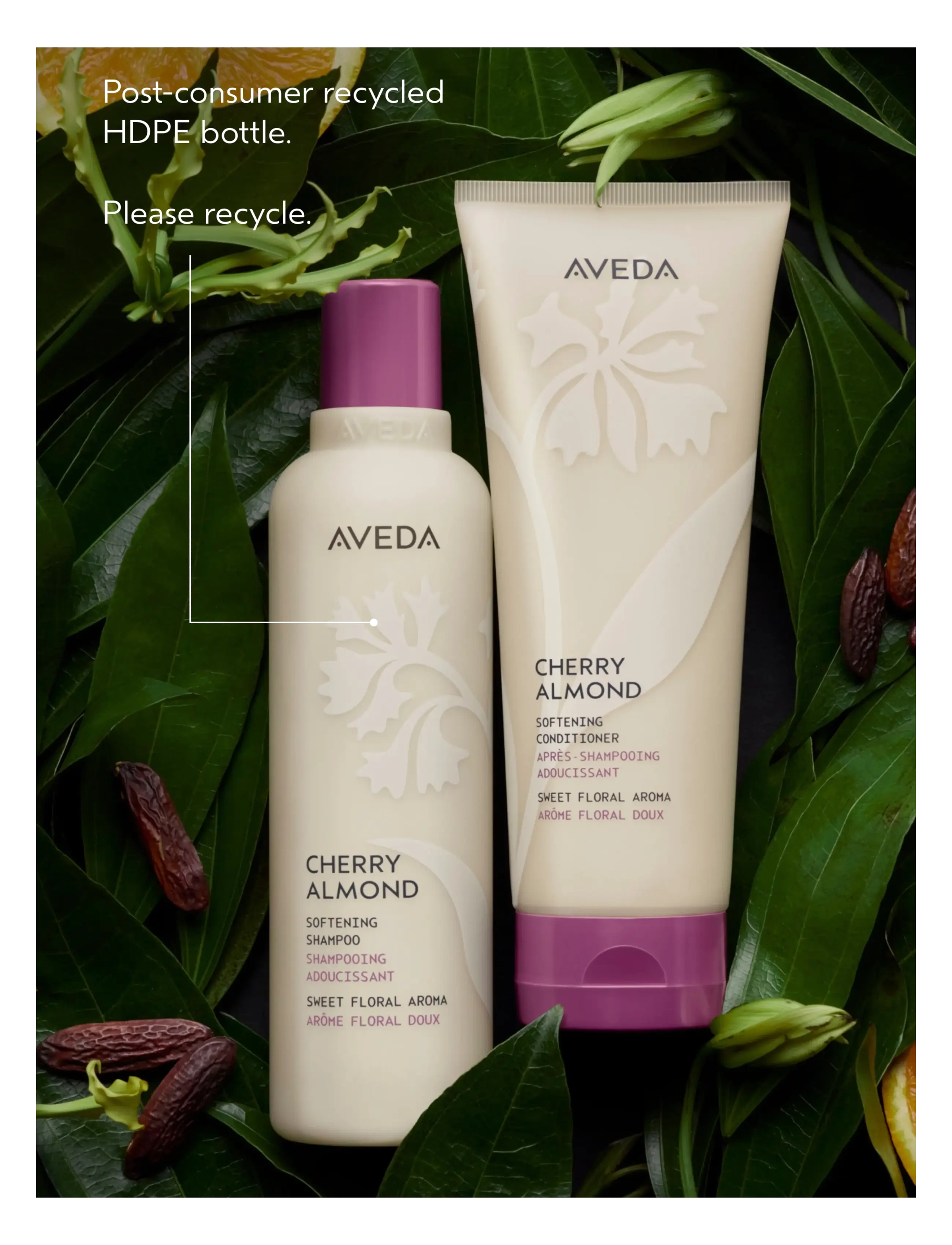 Aveda - Cherry Almond Shampoo - shampoo - no color - 2