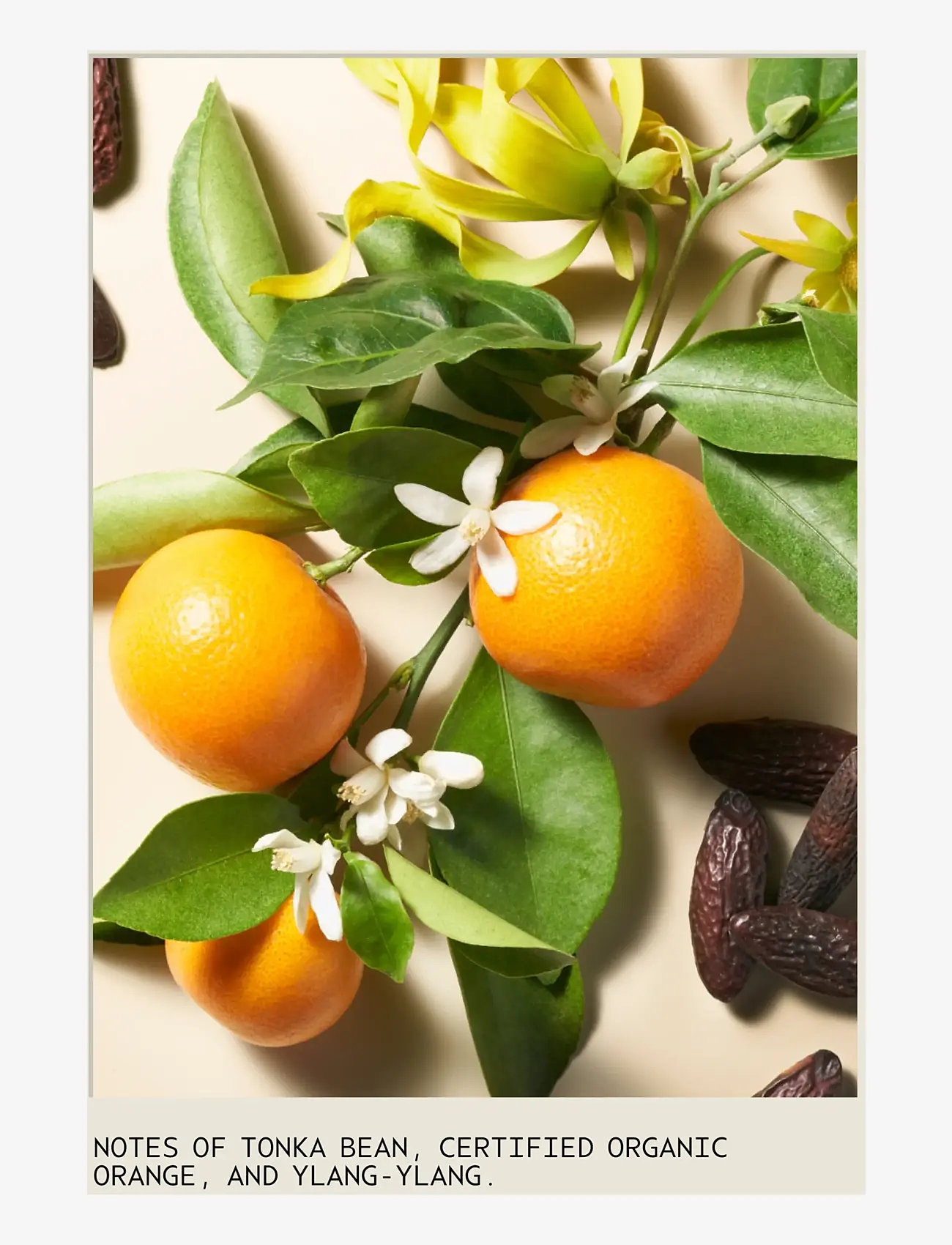 Aveda - Cherry Almond Conditioner - balsam & conditioner - no color - 3