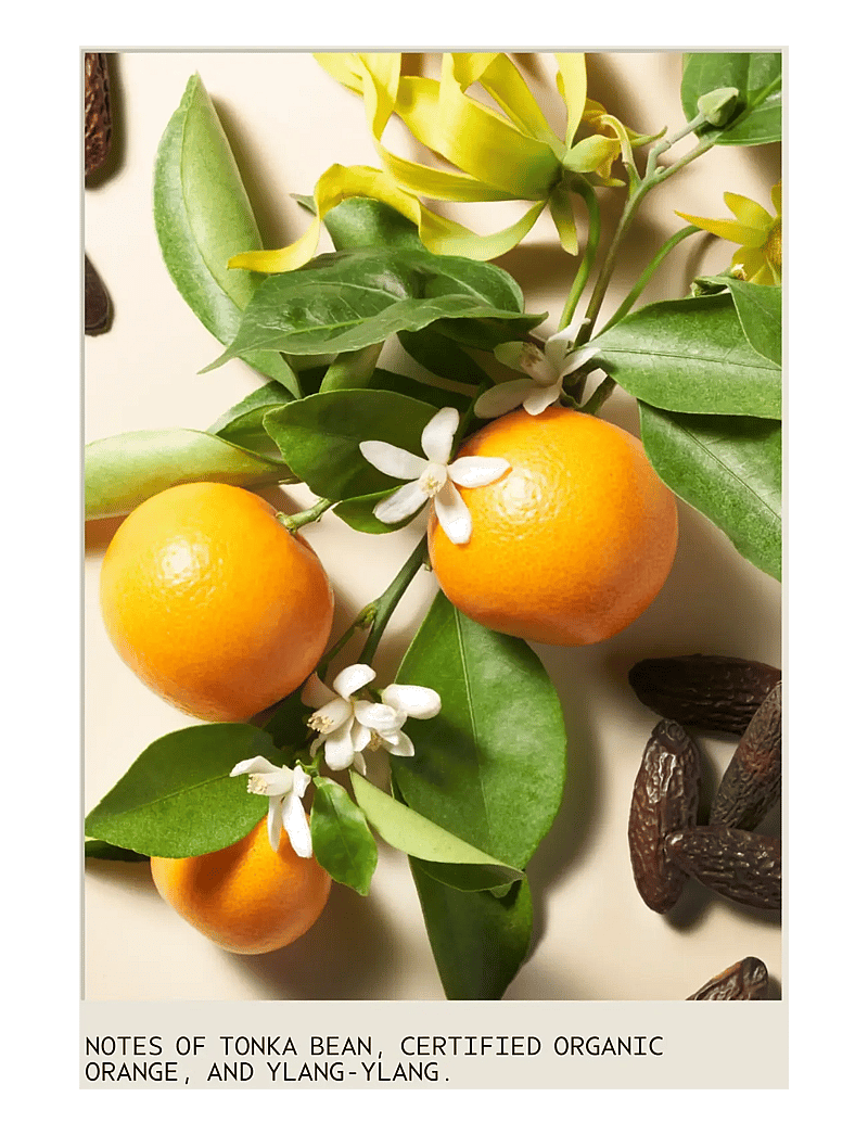 Aveda - Cherry Almond Conditioner - palsam - no color - 3