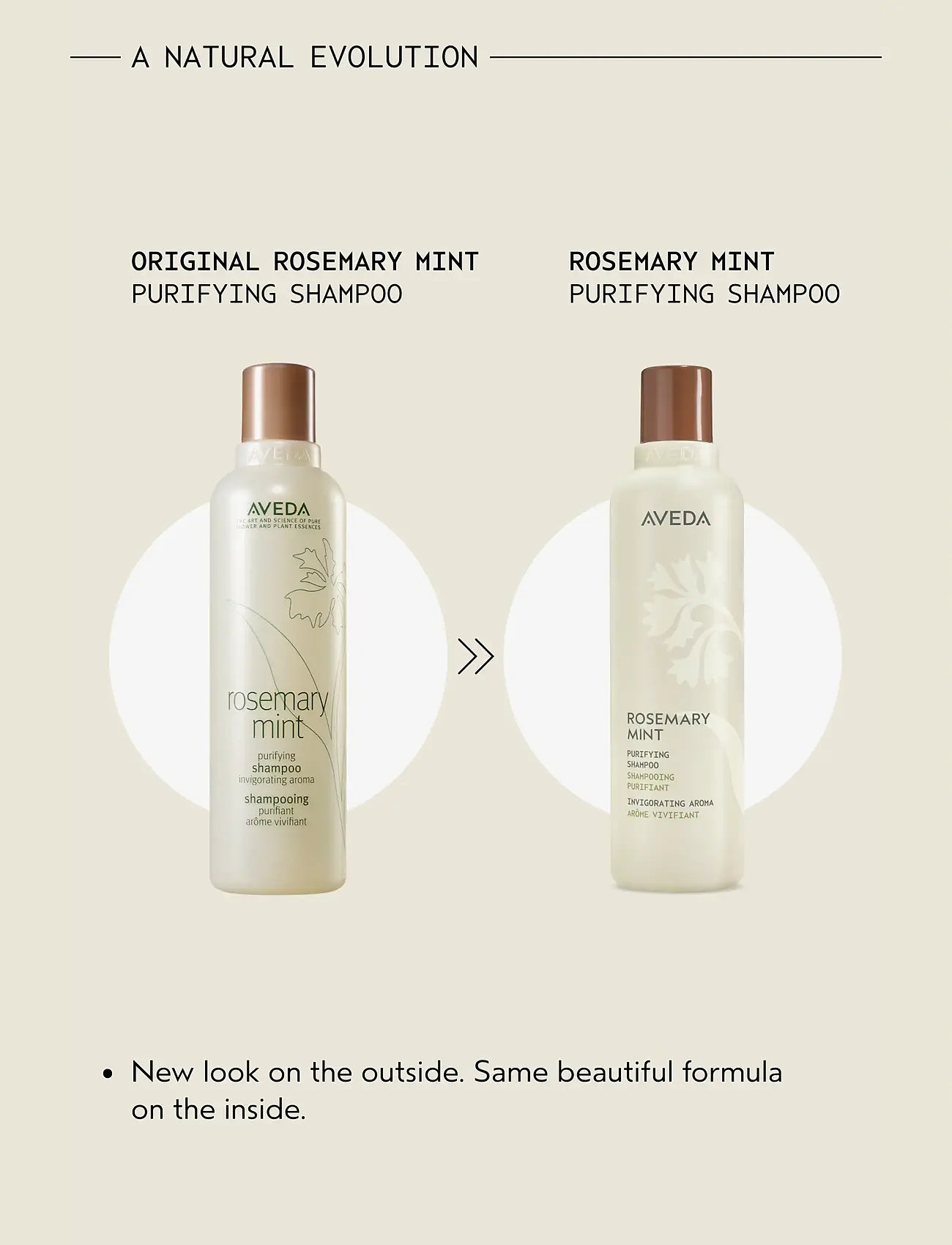 Aveda - Rosemary Mint Shampoo - Šampoon - no color - 2