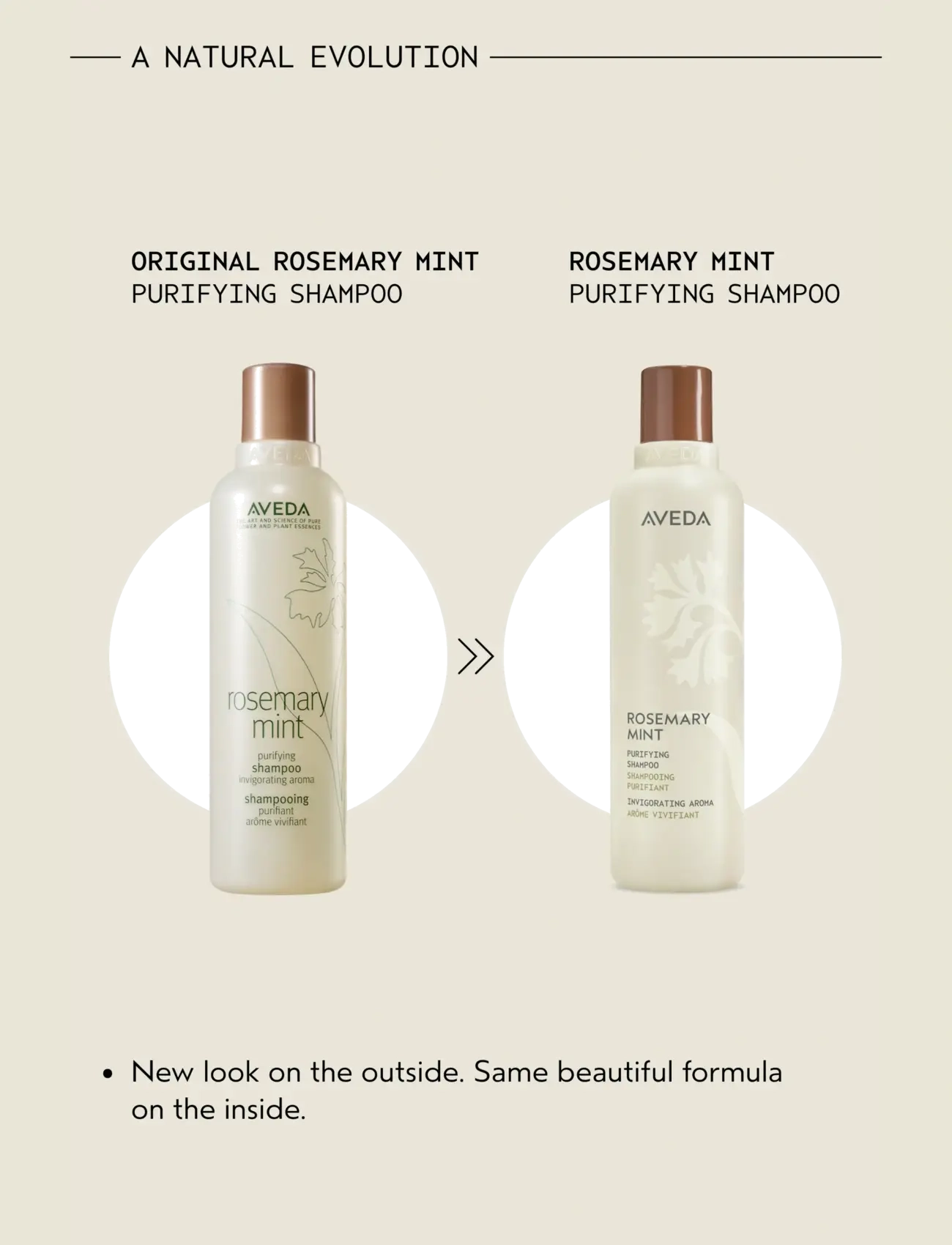 Aveda - Rosemary Mint Shampoo - Šampoon - no color - 2