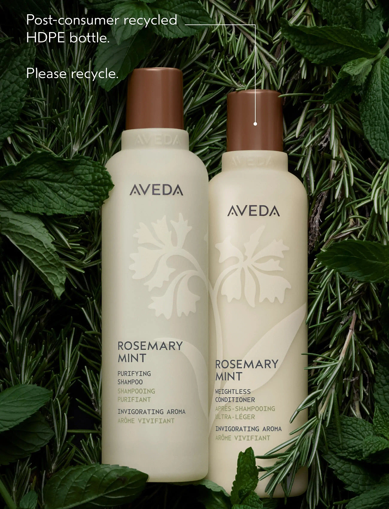 Aveda - Rosemary Mint Shampoo - Šampoon - no color - 3