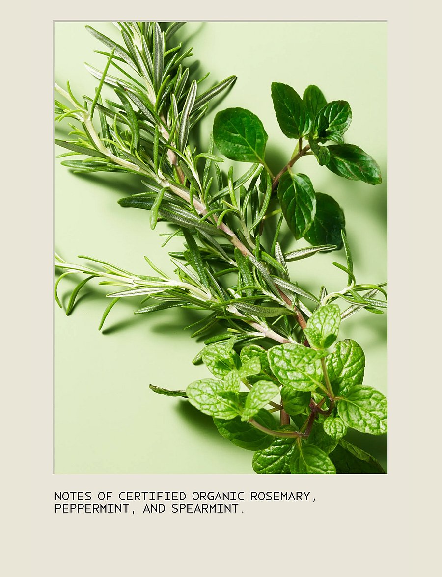Aveda - Rosemary Mint Shampoo - shampoo - no color - 2