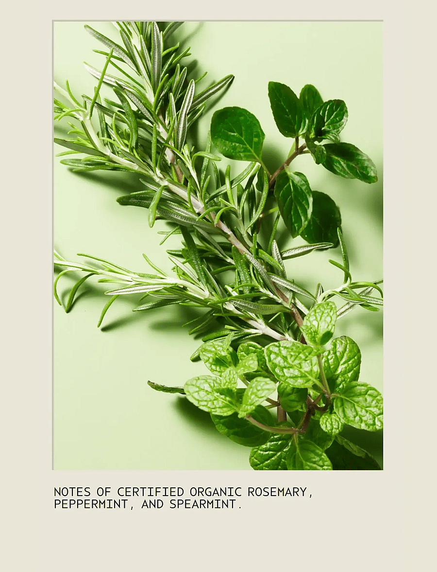Aveda - Rosemary Mint Conditioner - balsam & conditioner - no color - 3