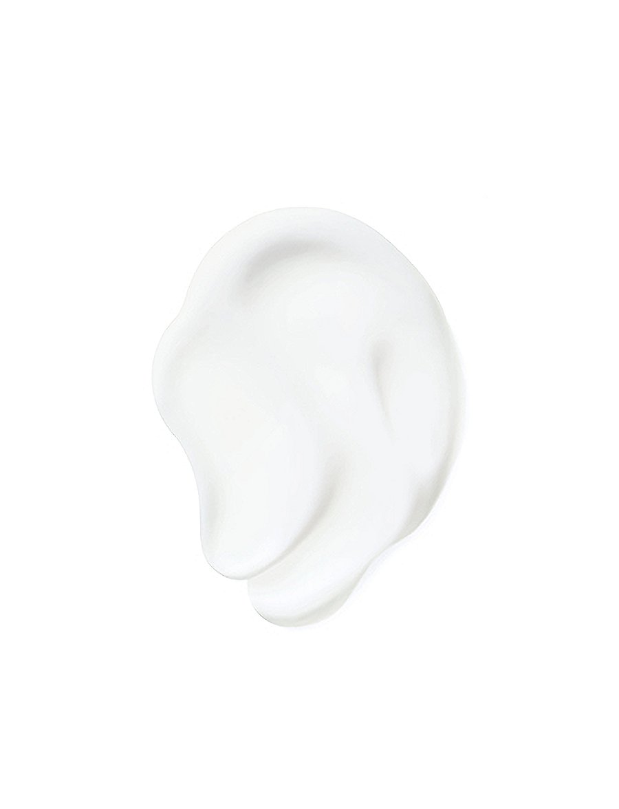 Aveda - NutriPlenish Daily Treatment Travel Size - hár - no color - 0