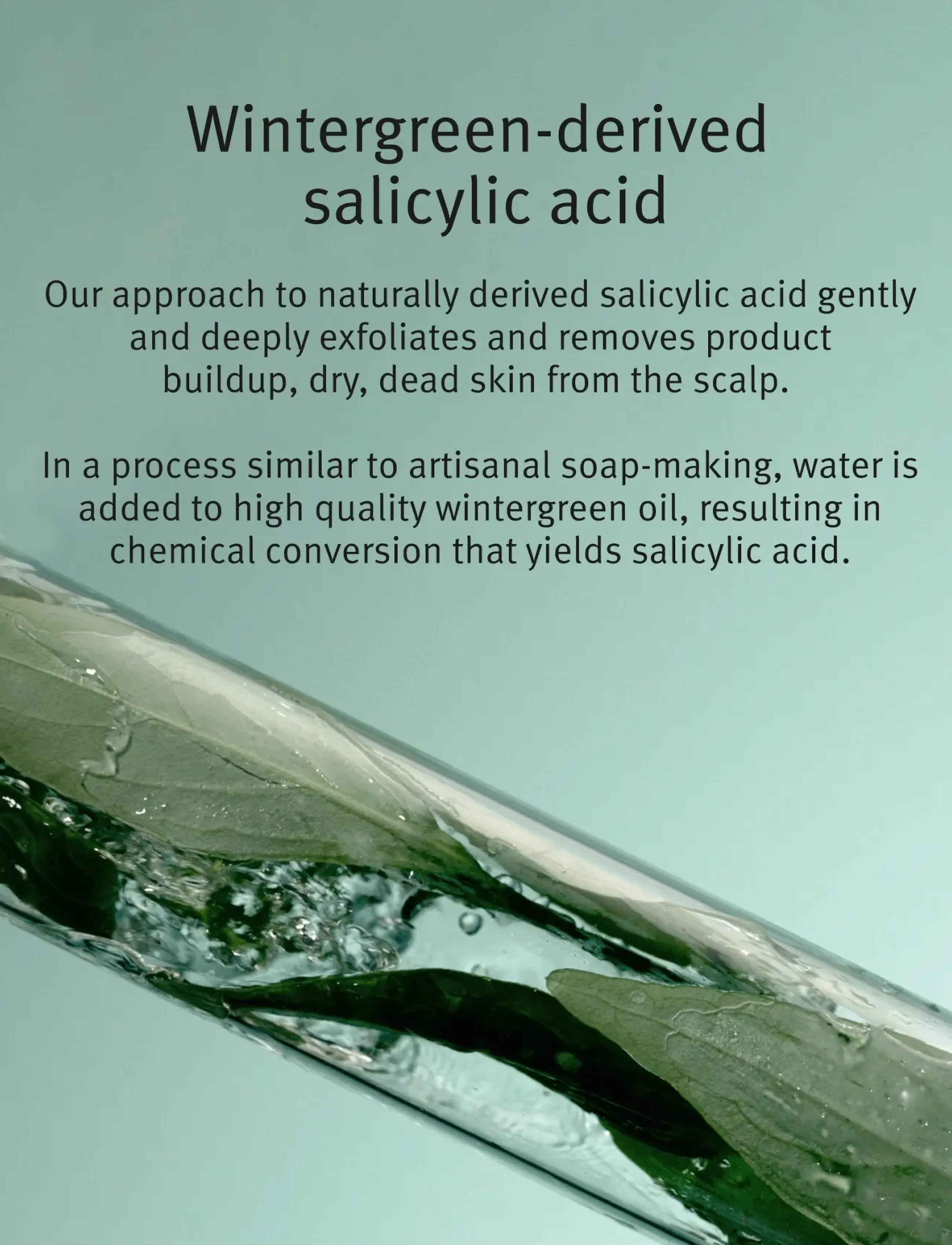 Aveda - Scalp Solutions™ Balancing Essentials - scalp treatment - clear - 2