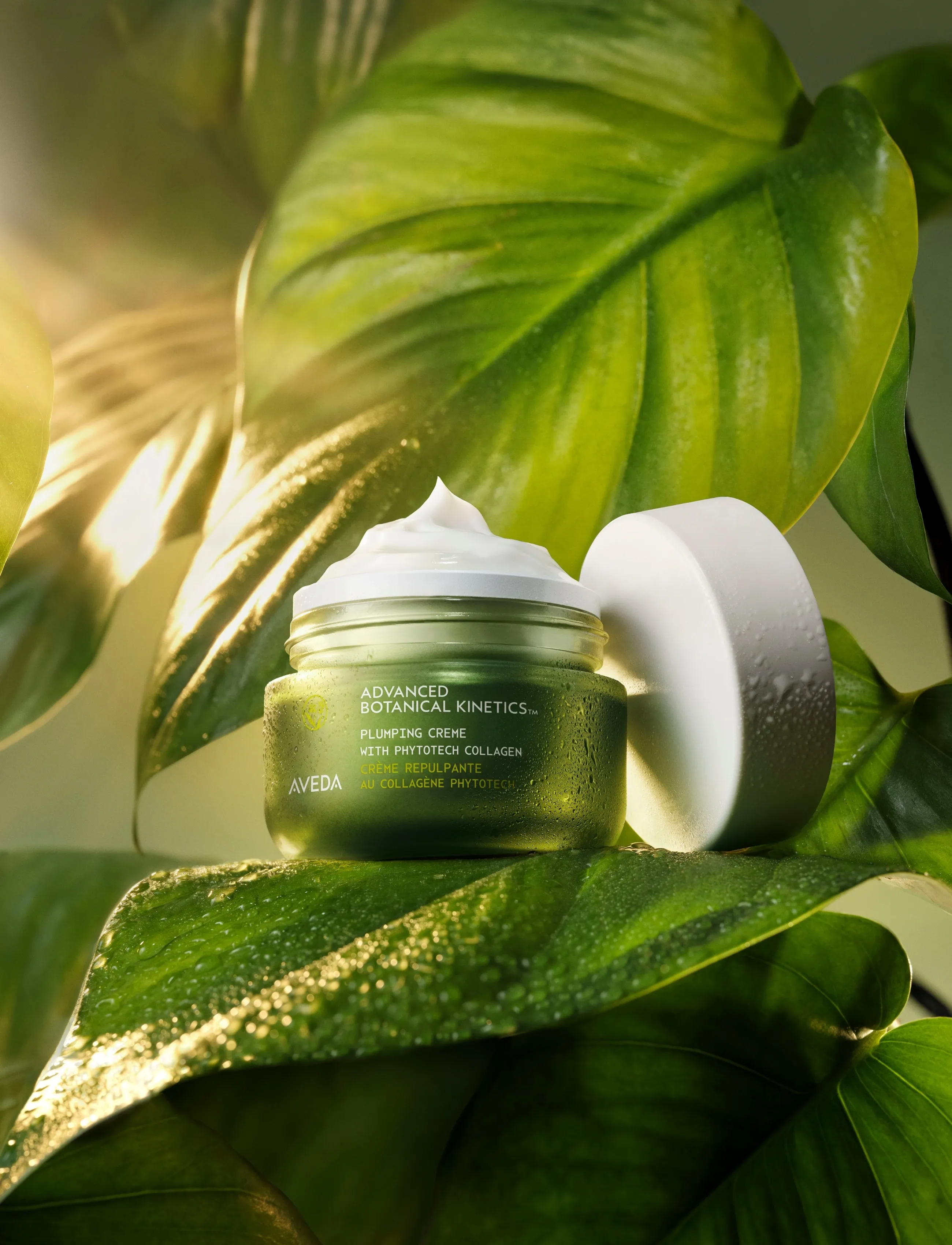Aveda - Advanced Botanical Kinetics™  Plumping Creme 50 ml - fuktkrämer - clear - 3