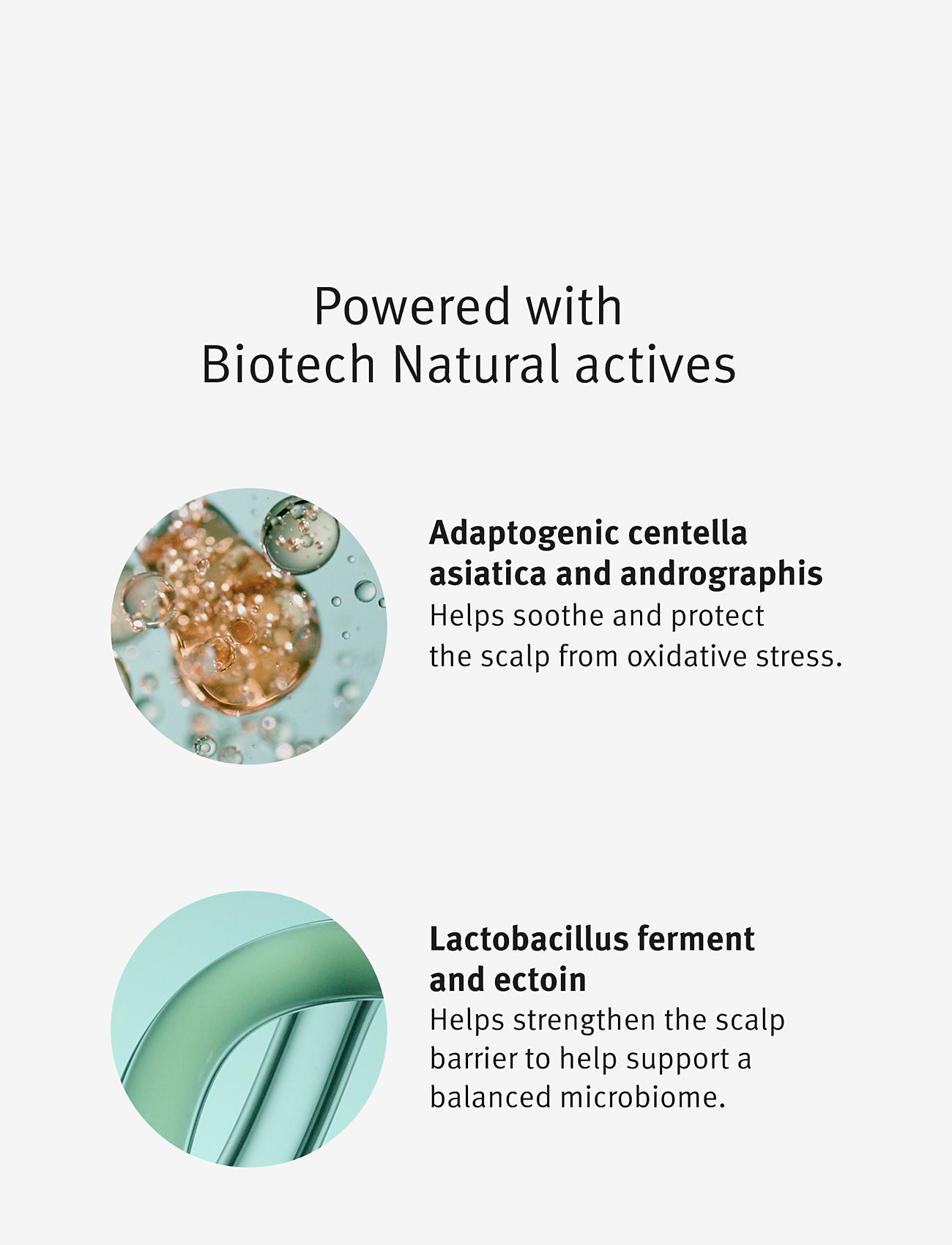 Aveda - Scalp Solutions Refreshing Protective Mist - scalp treatment - no color - 5