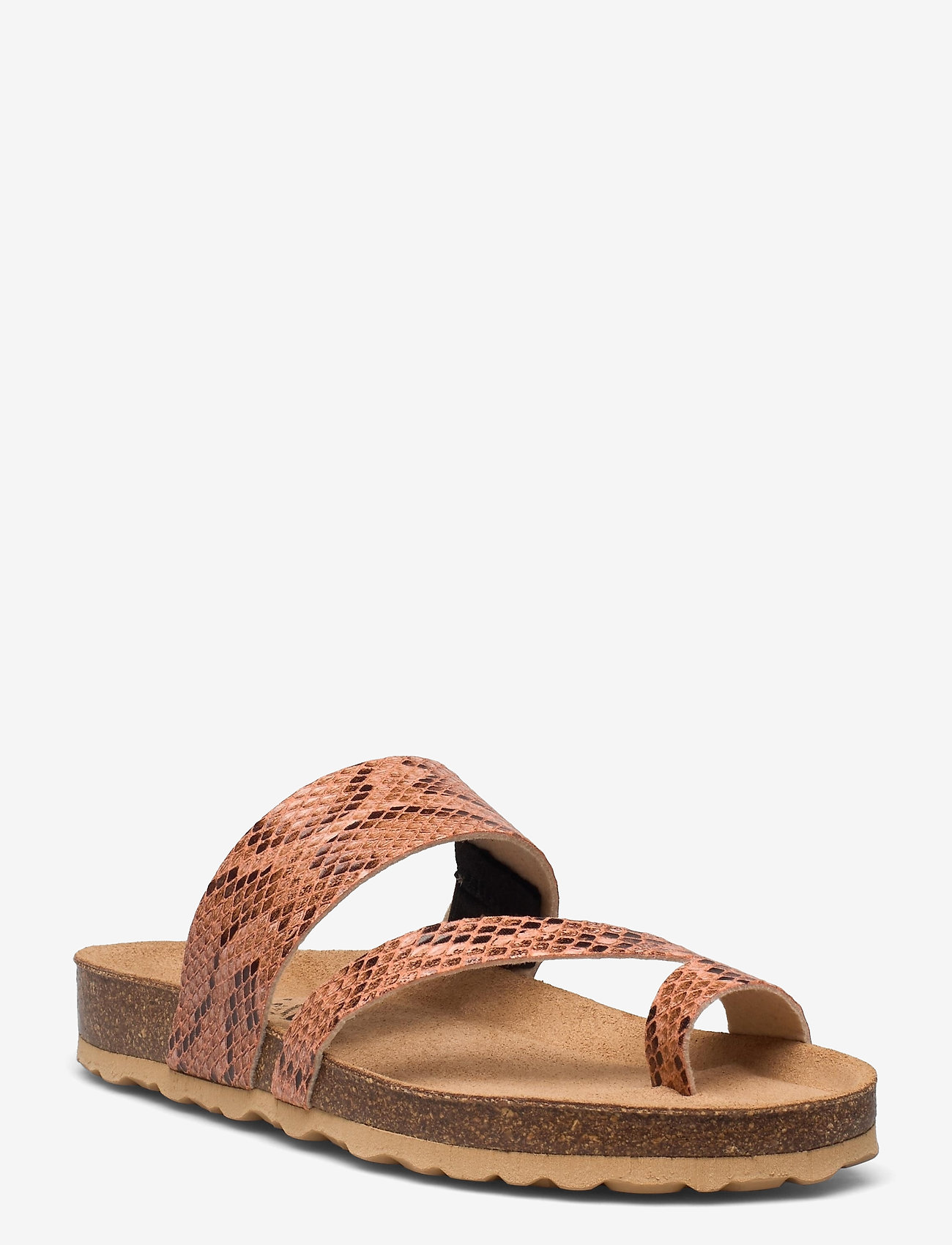 Axelda - Adan - sand snake - 0