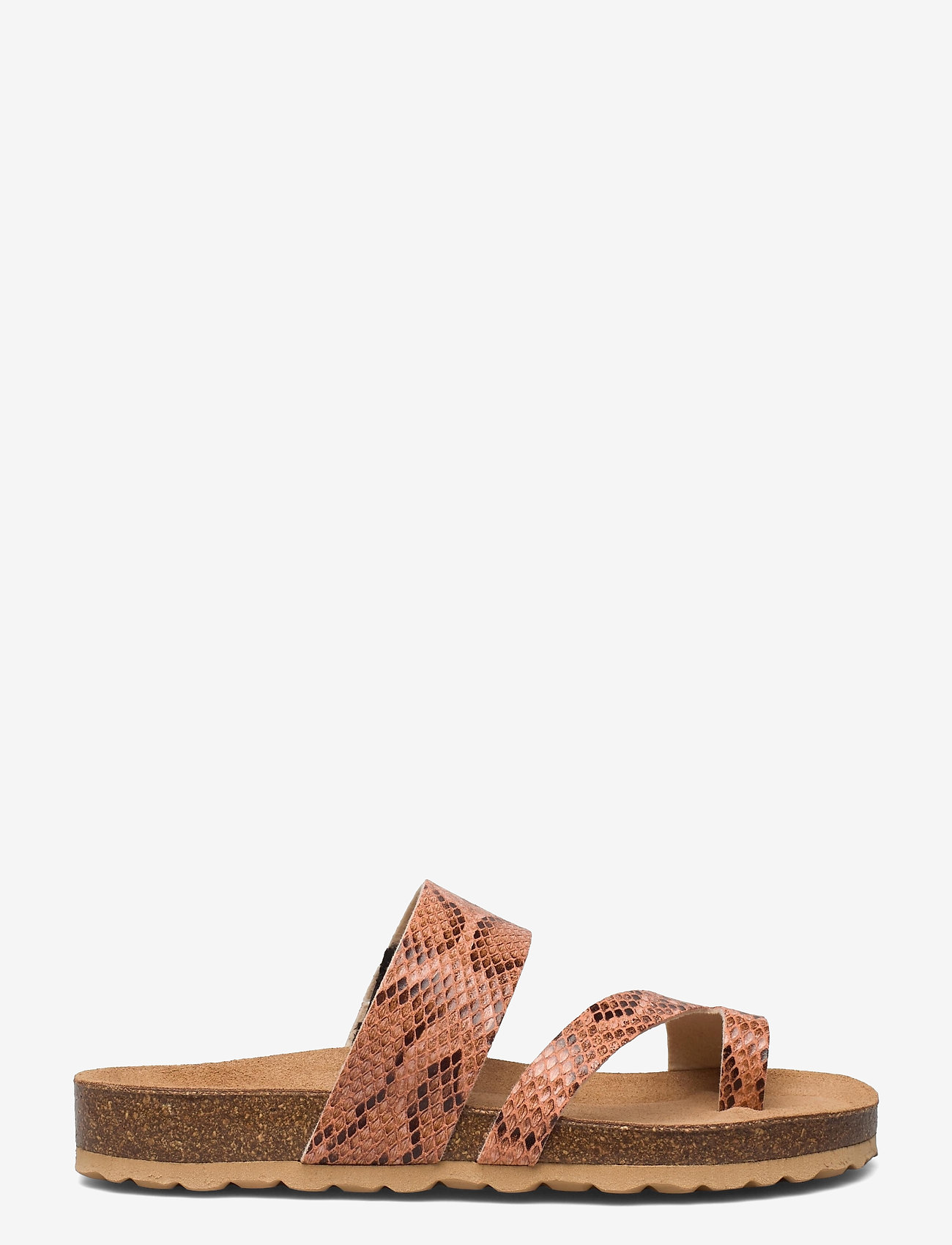 Axelda - Adan - sand snake - 1