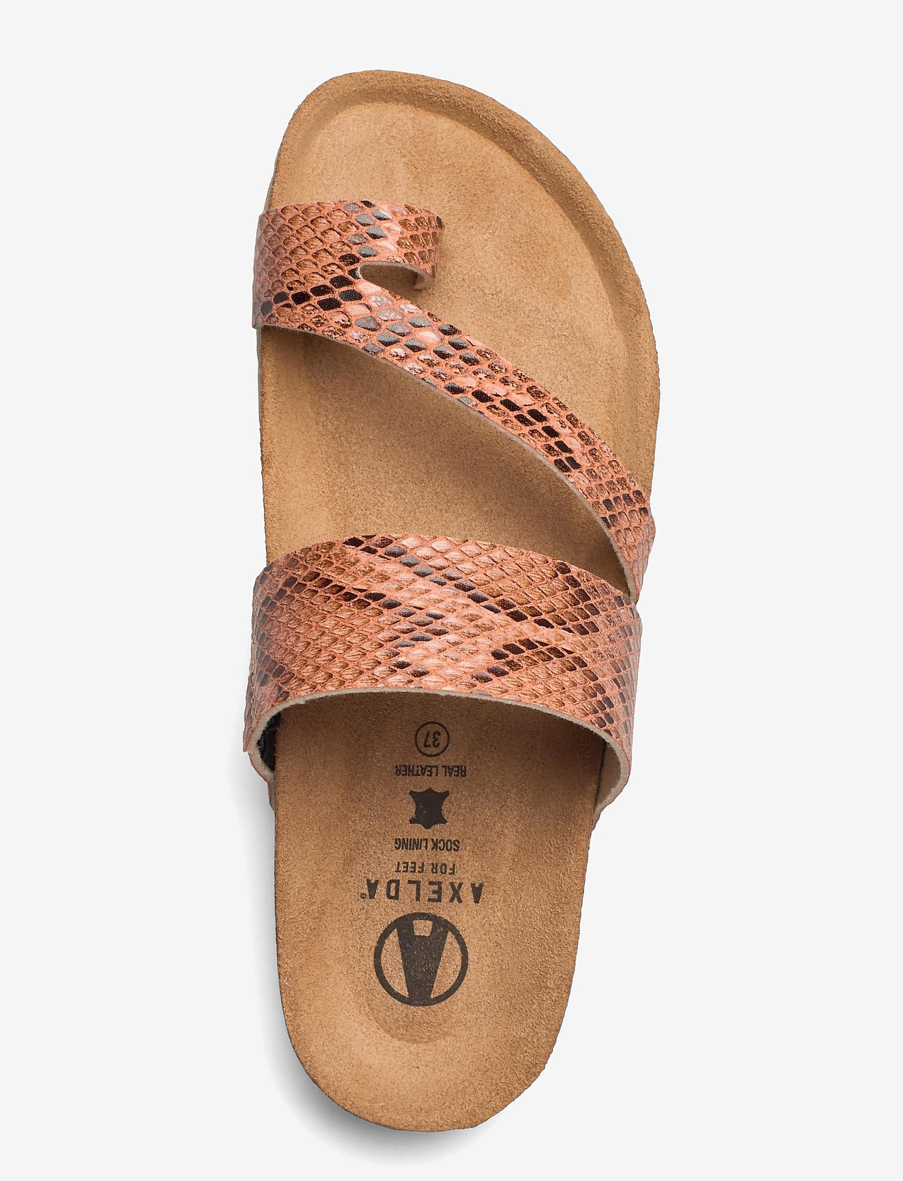 Axelda - Adan - sand snake - 3