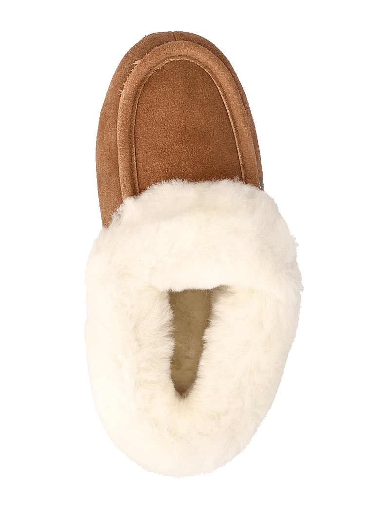 Axelda - London - vardagsstil - chestnut/white - 3