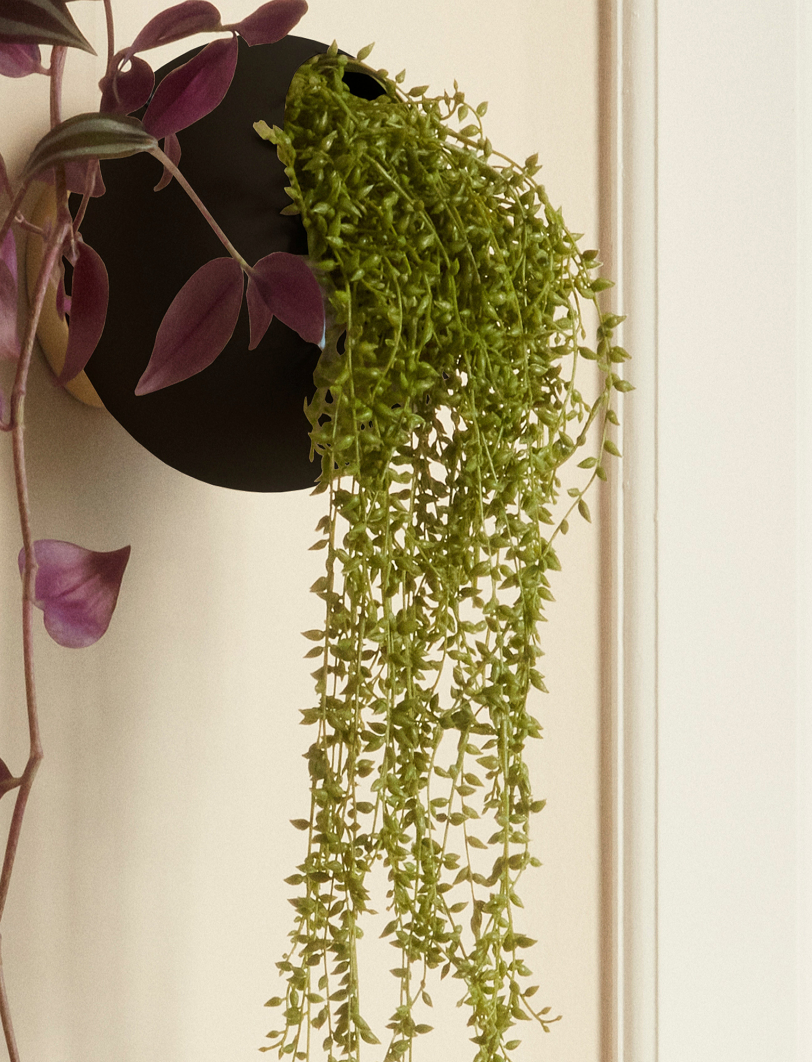 AYTM Globe Vægblomsterpotte, H18.8 cm, Decoration, Schwarz - Flower Pots, Homeware