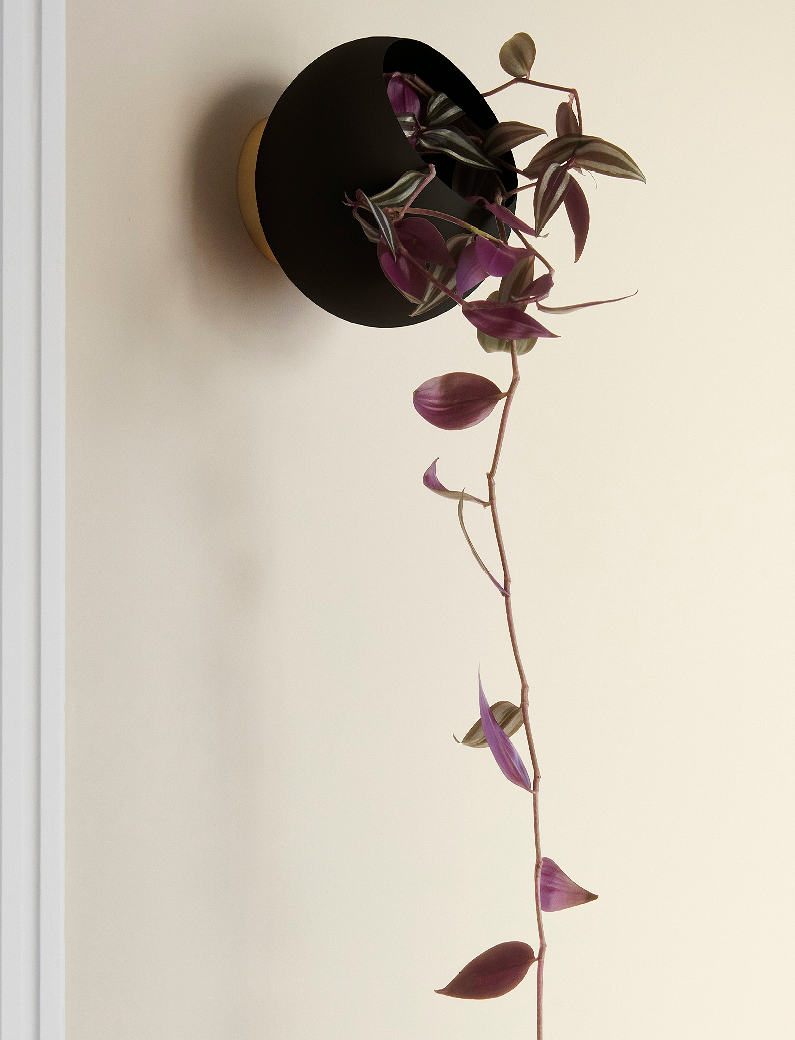 AYTM Globe Vægblomsterpotte, L, Decoration, Schwarz - Flower Pots, Homeware