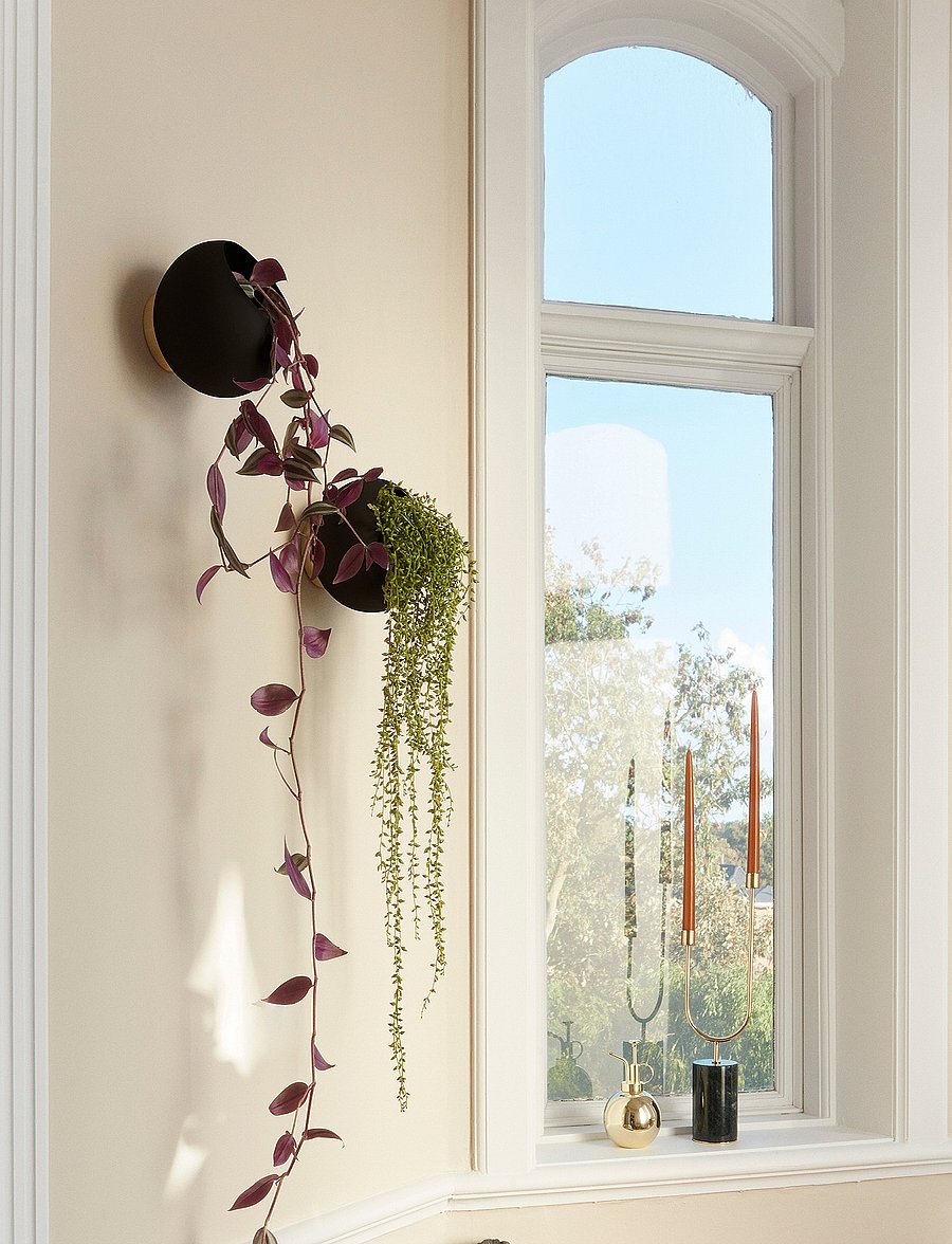 AYTM - GLOBE wall flowerpot - blumentöpfe - black - 2