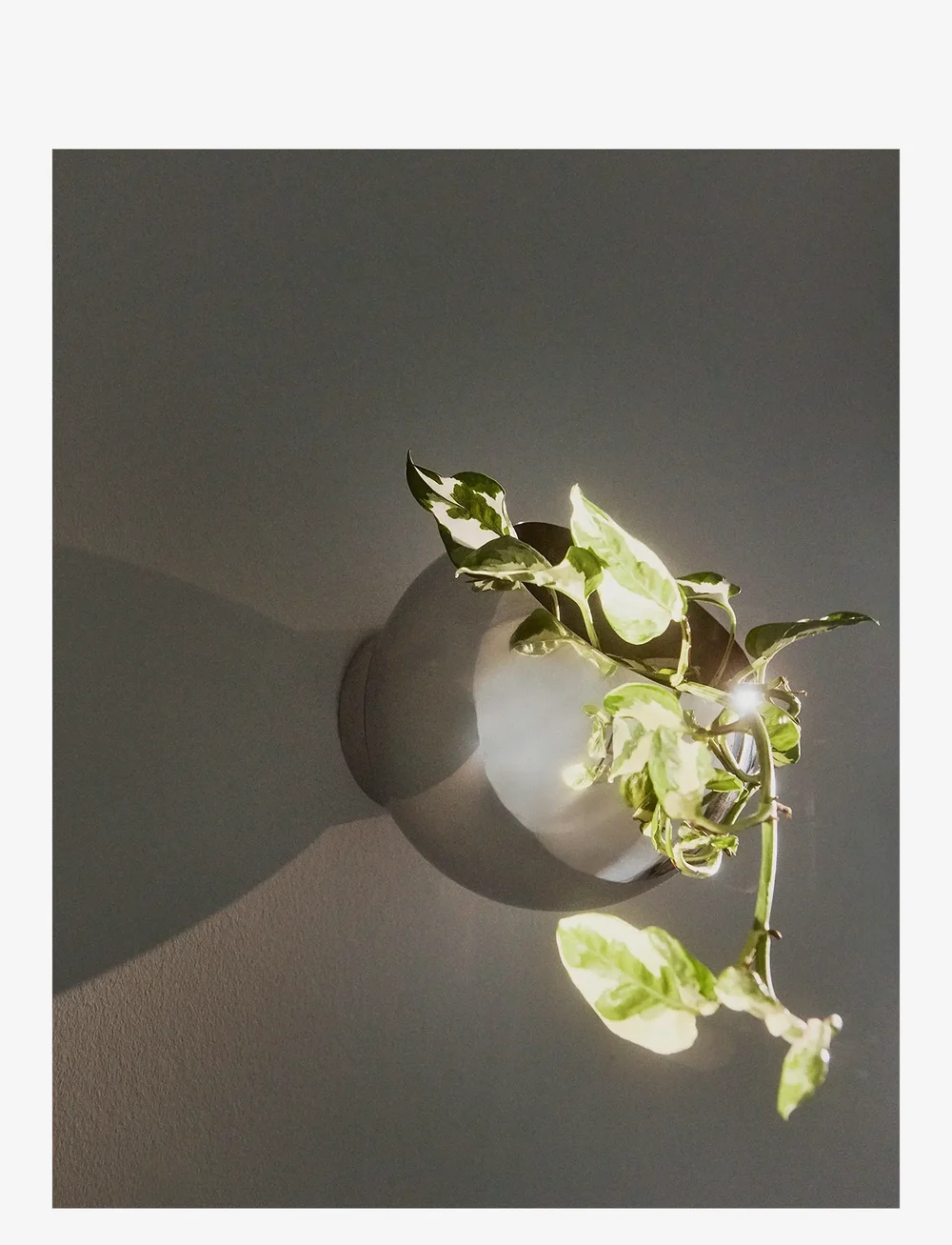 AYTM - GLOBE wall flowerpot - blumentöpfe - silver - 1