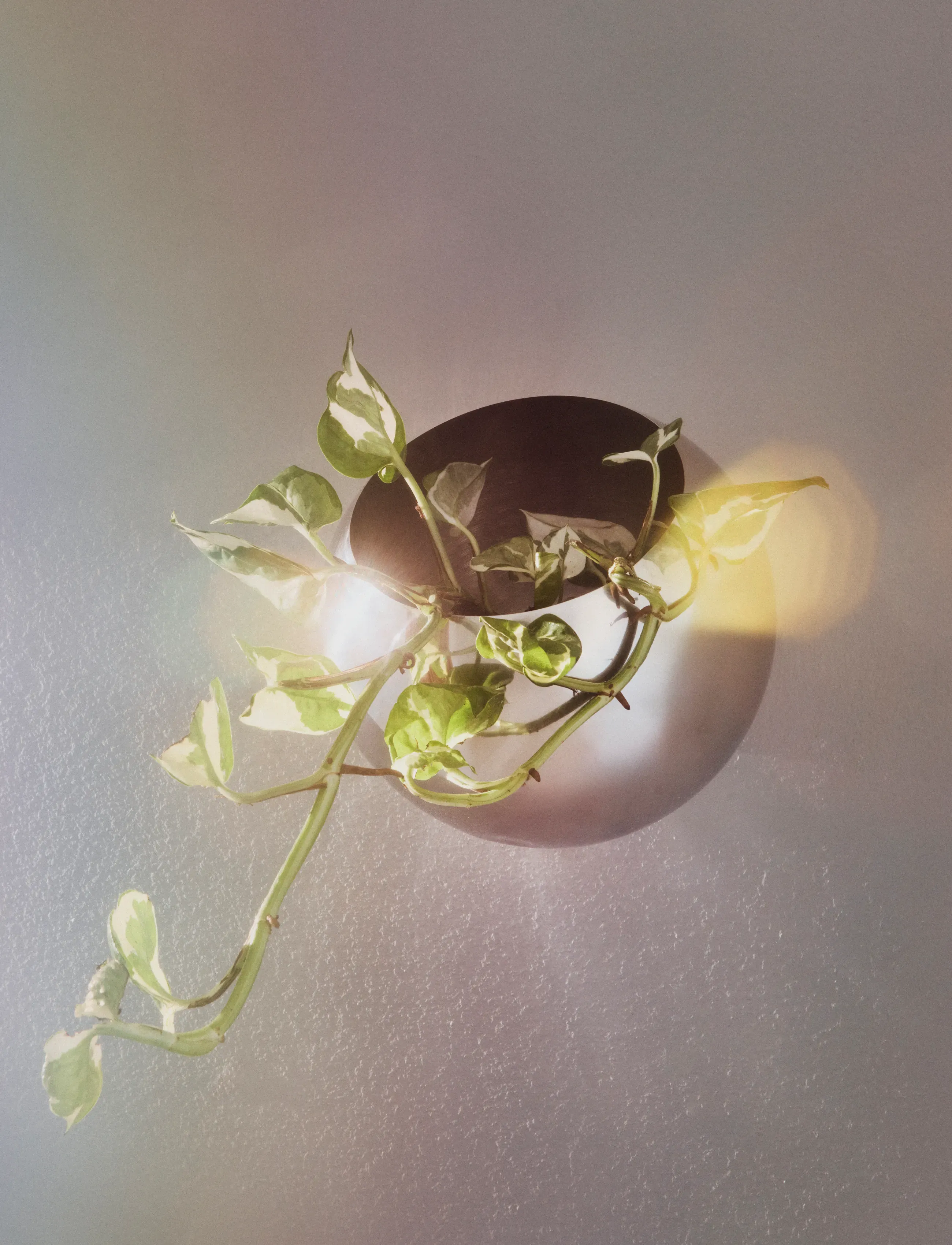 AYTM Globe Vægblomsterpotte, Ø17XH15.4 cm, Decoration, Silber - Flower Pots, Homeware