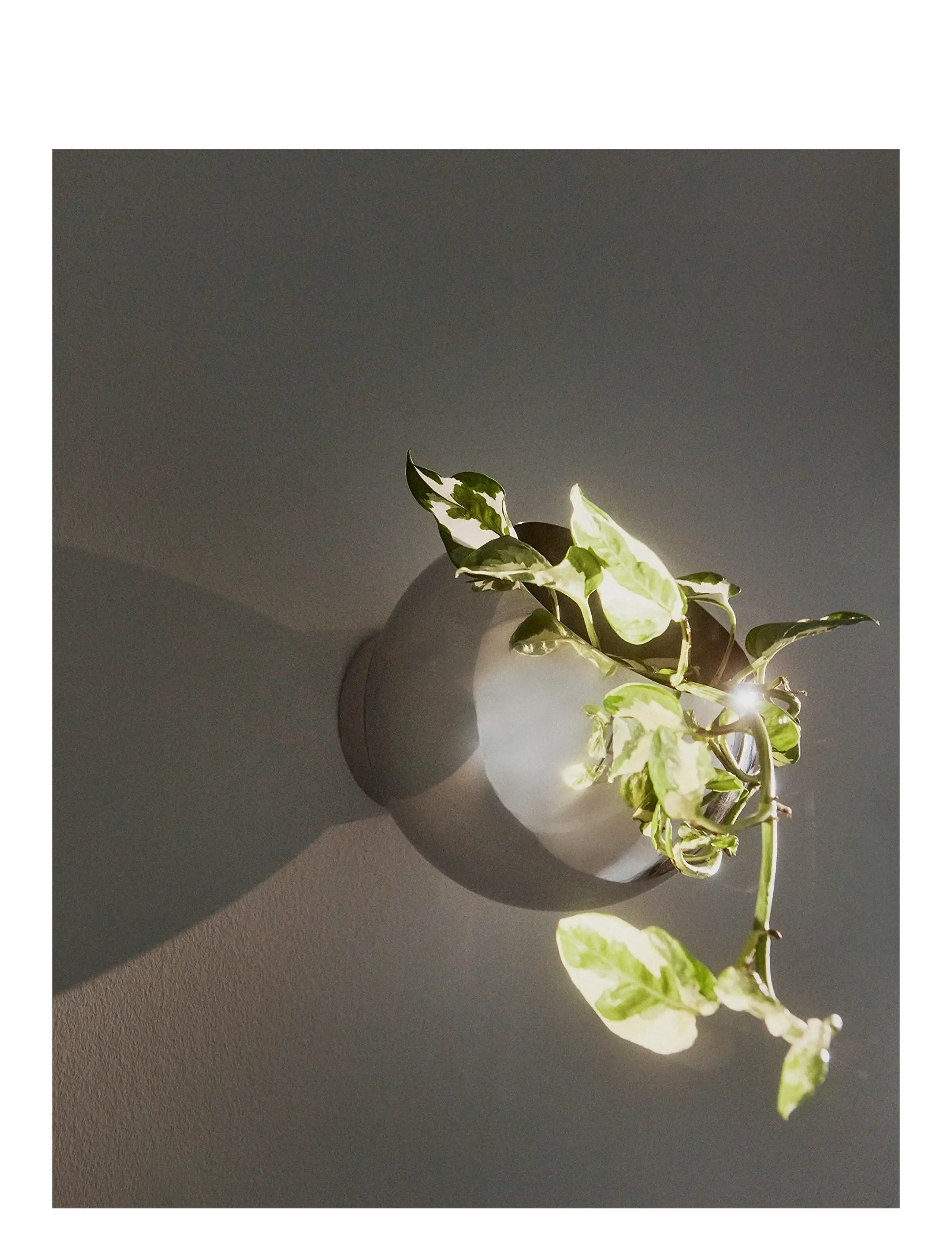 AYTM - GLOBE wall flowerpot - bloempotten - silver - 1