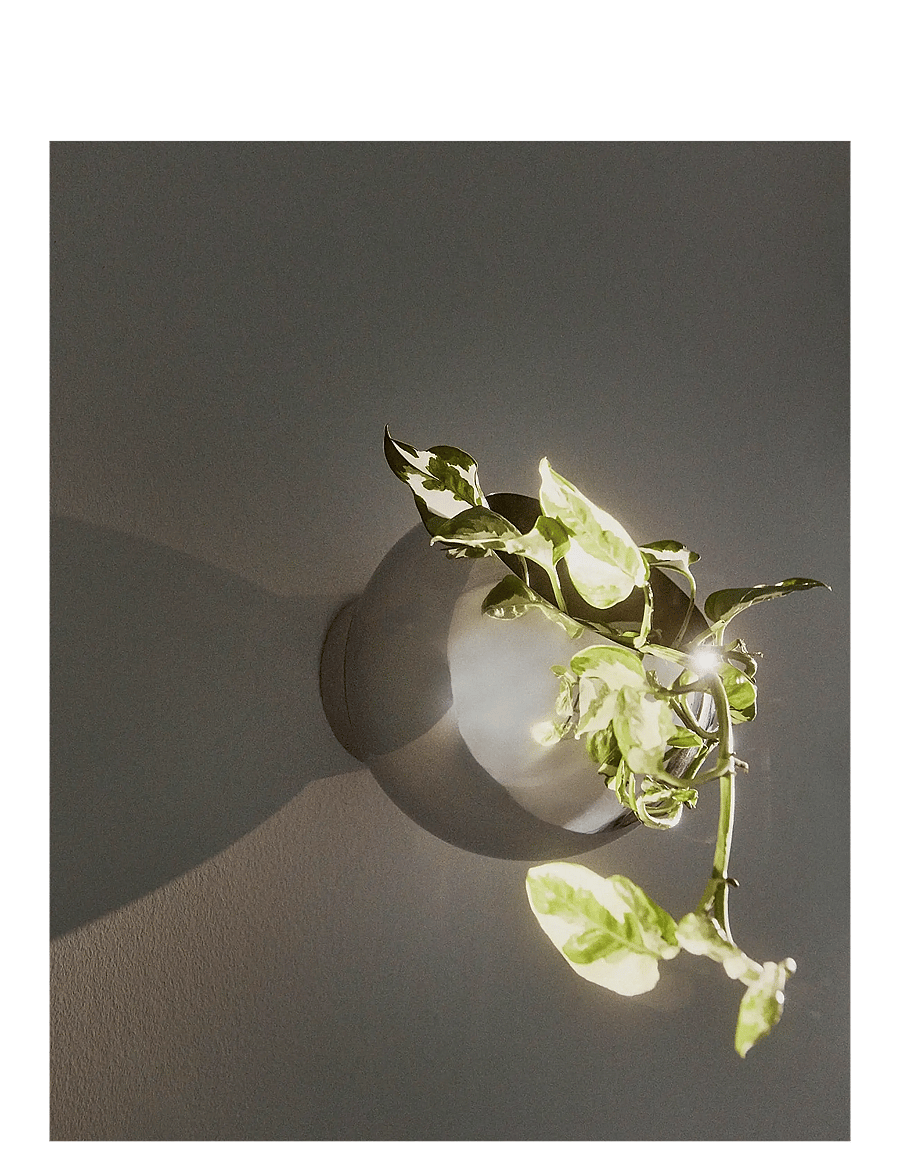AYTM - GLOBE wall flowerpot - blumentöpfe - silver - 1