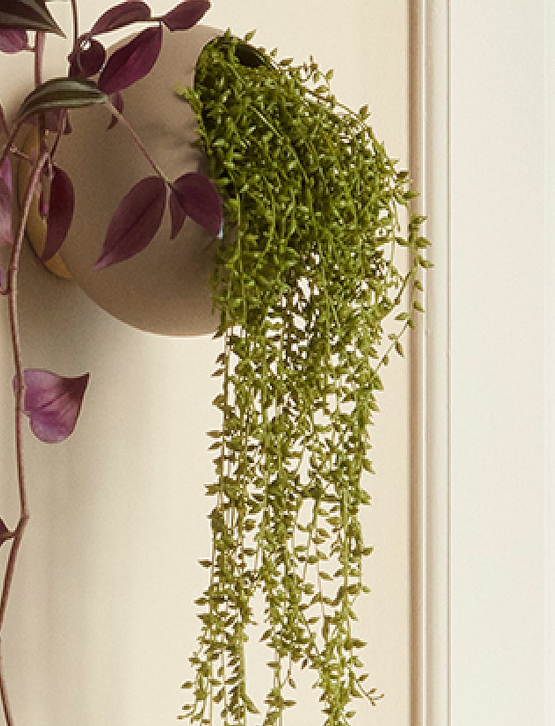 AYTM - GLOBE wall flowerpot - blumentöpfe - taupe - 0