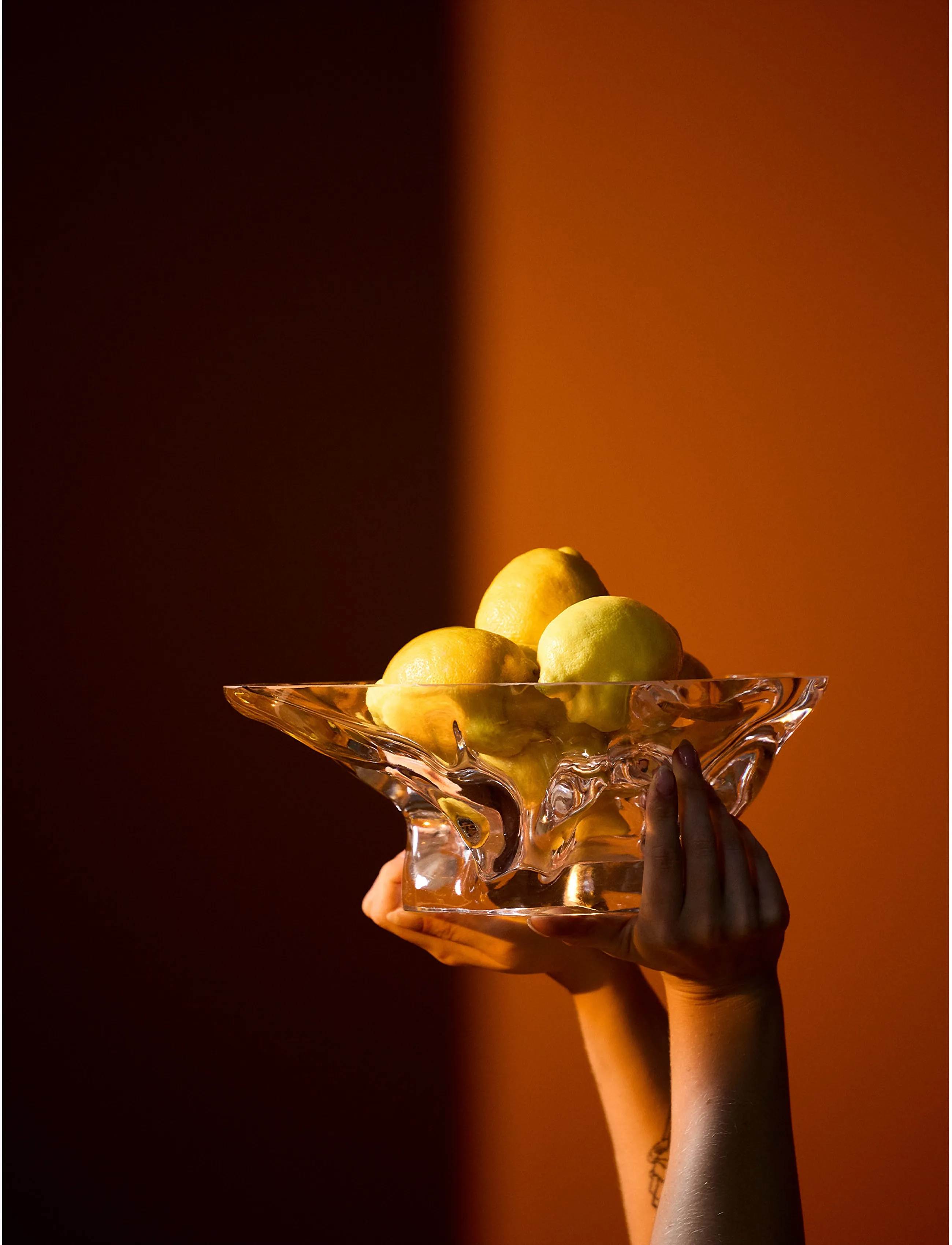 AYTM - VENA bowl - clear - 4
